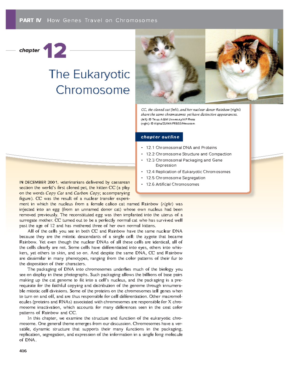 Chapter 12 - 104 - 406 PART IV Ho w Ge n e s Tra v e l o n C h r omo so ...