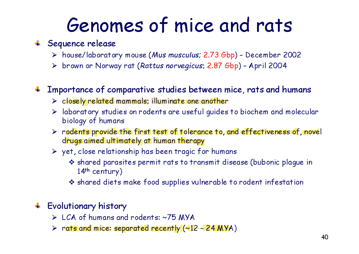 GENE3713 2024 - Ch07 - Lecture 06 - Genomes of mice and rats Sequence ...