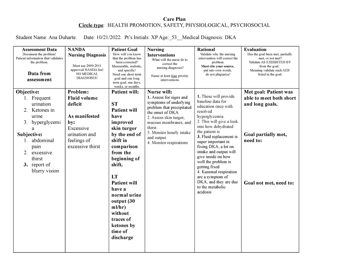 Editablecare Plan Form Care Plan Circle Type Health Promotion Safety Physiological 3409