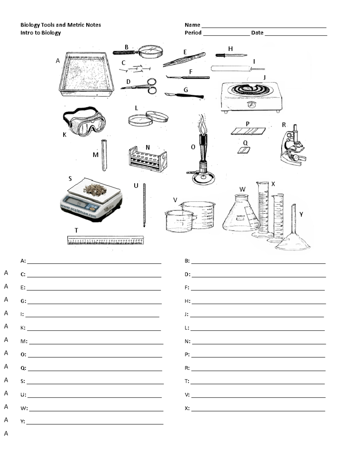 05 med BIO tools metric notes ws - Biology Tools and Metric Notes Name ...