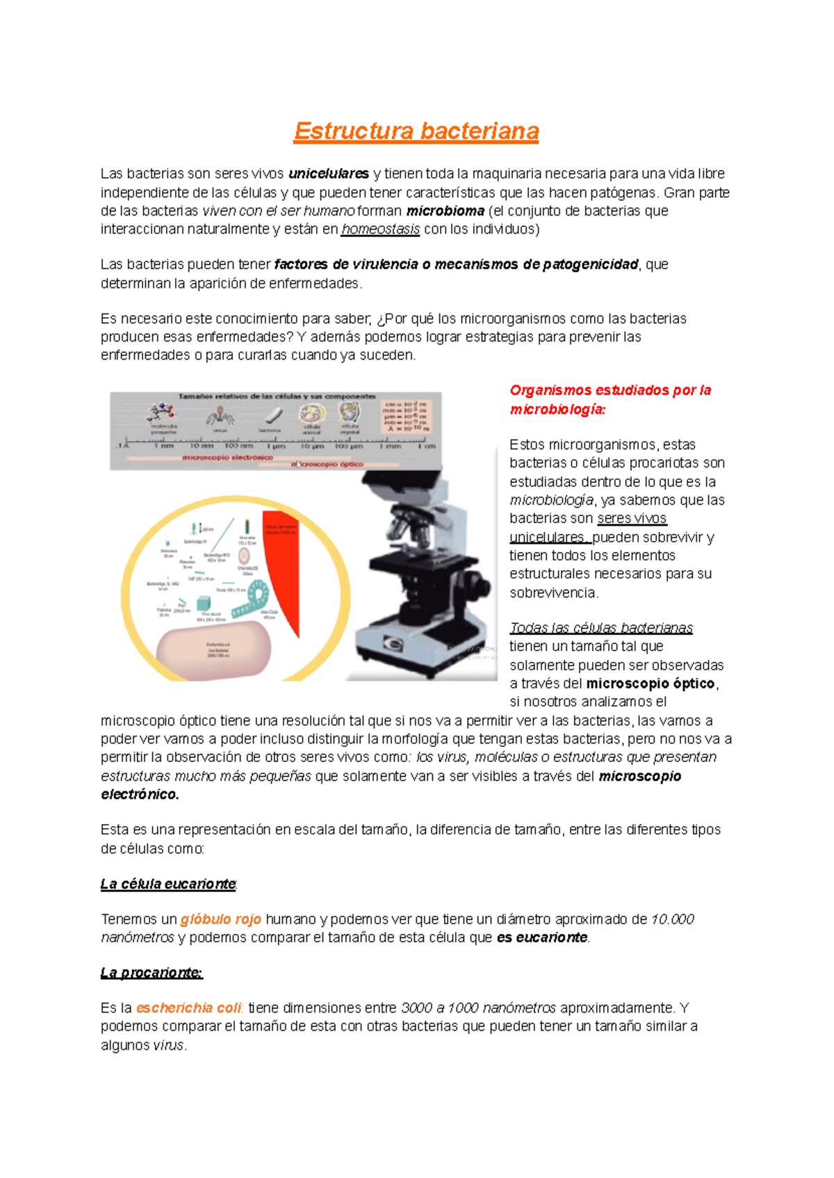 Estructura Bacteriana - Estructura Bacteriana Las Bacterias Son Seres ...