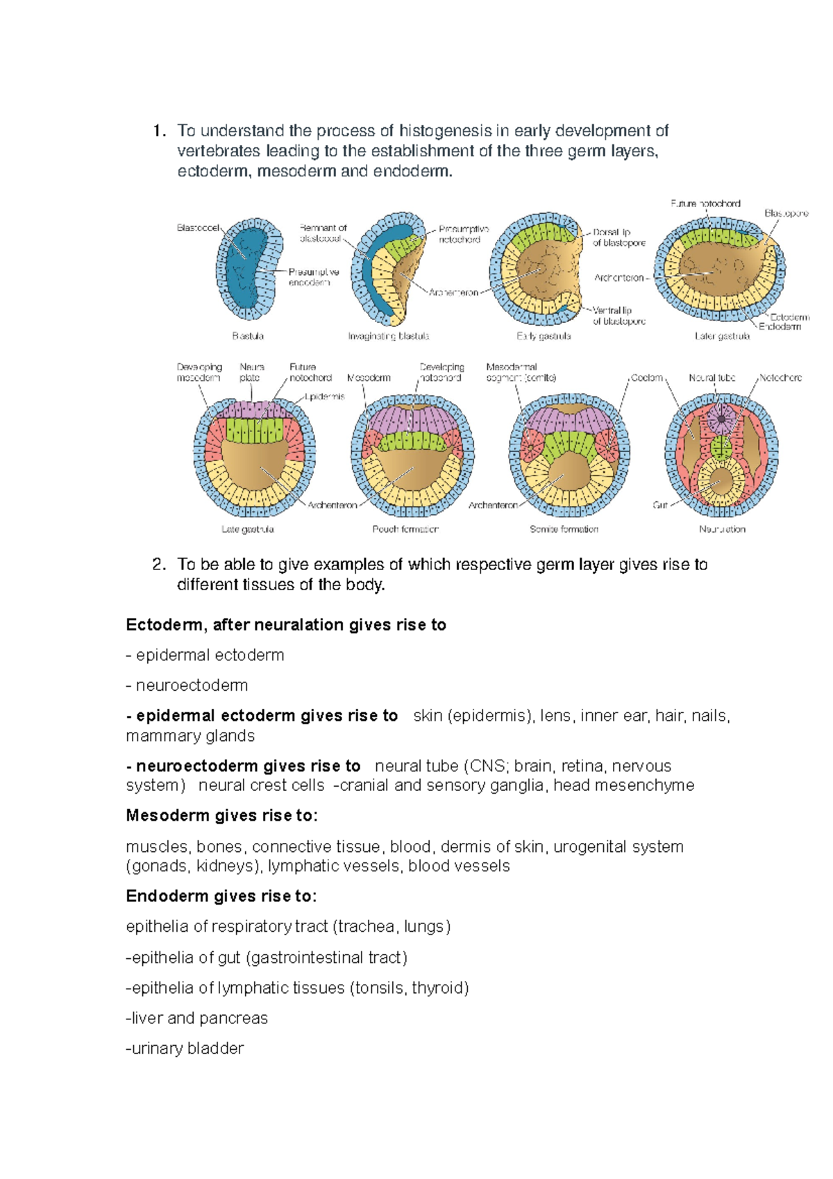 Histology theory exam questions 1. To understand the process of