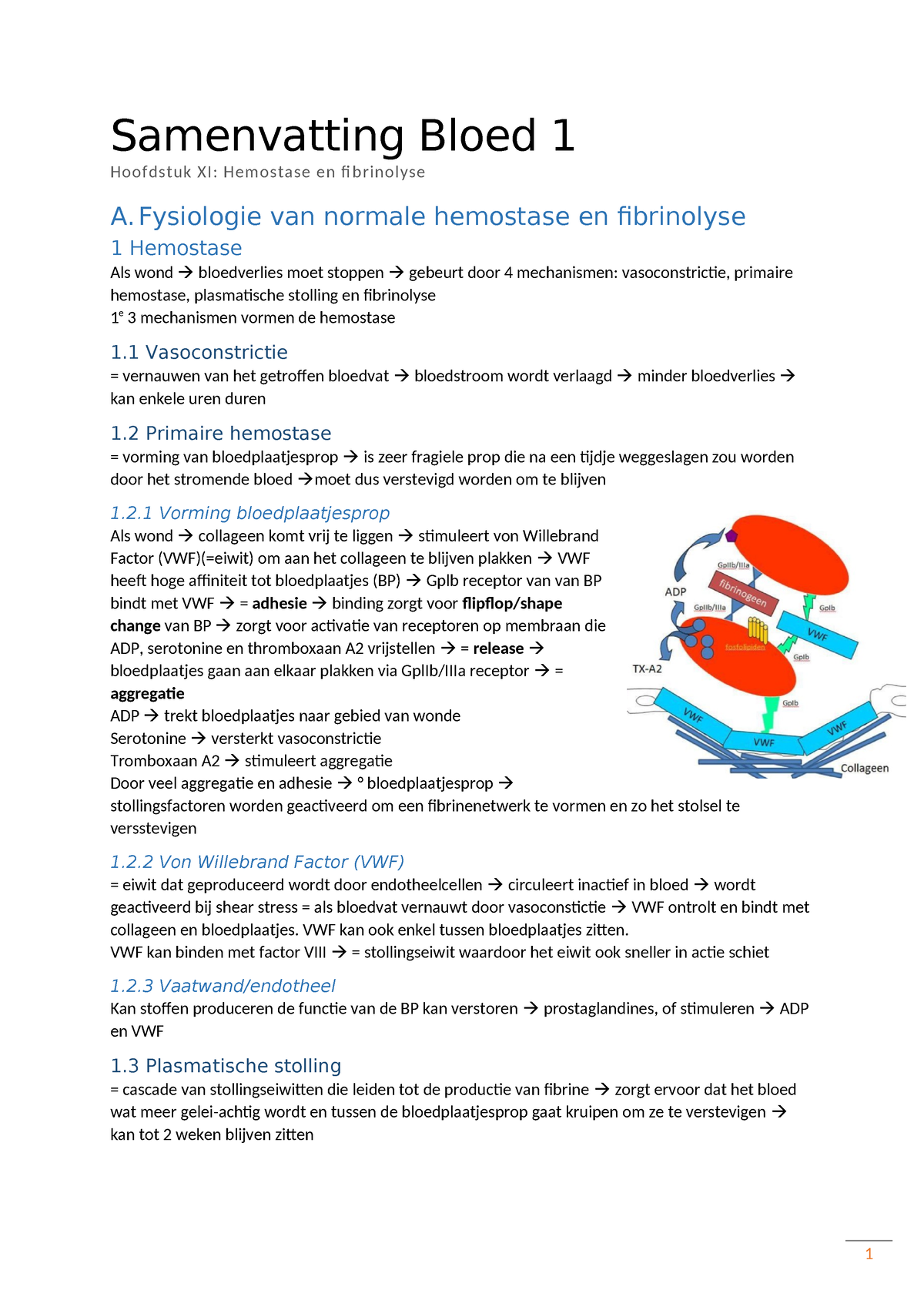 Samenvatting Bloed 1-XI - Samenvatting Bloed 1 Hoofdstuk XI: Hemostase ...