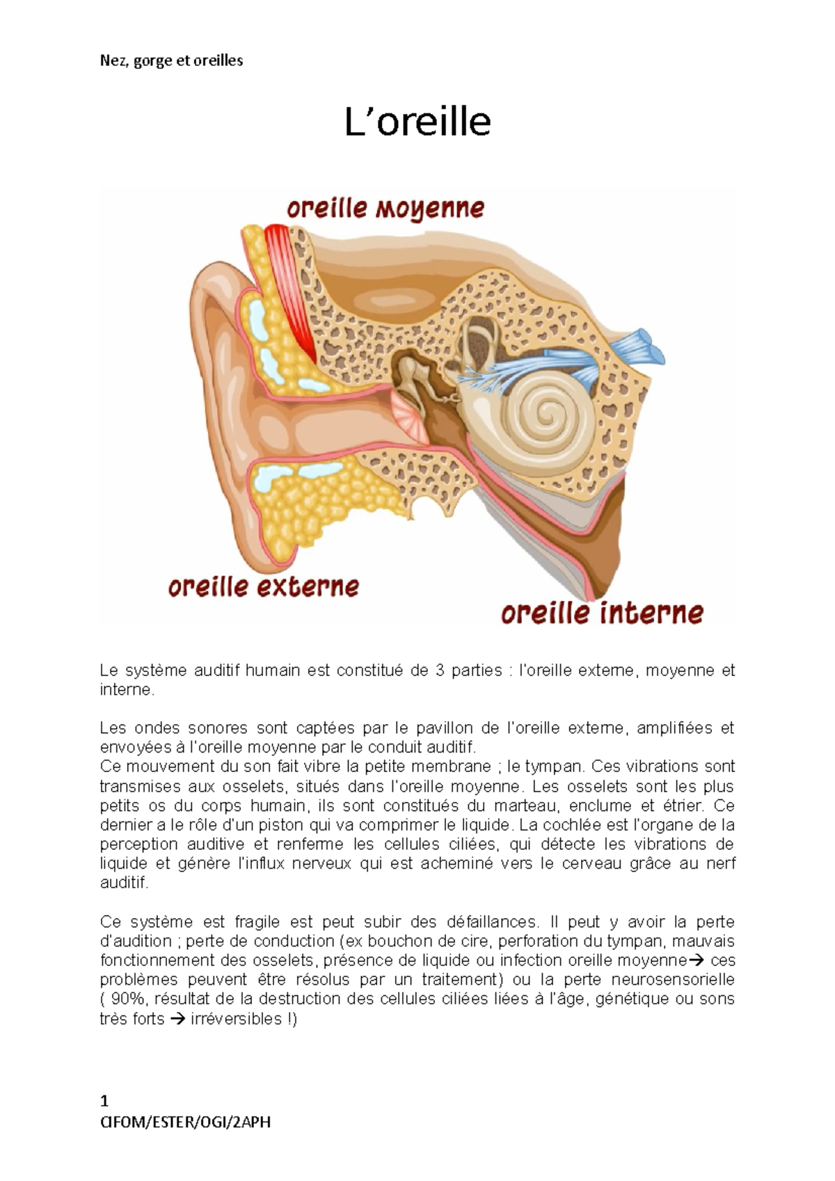 Gene Et Oreille Mal De Et Douleur Oreille KKSURC — free download