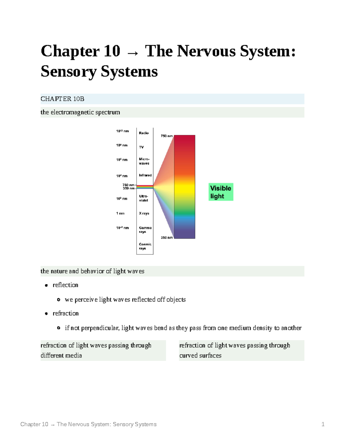 Chapter 10 The Nervous System Sensory Systems - Chapter 10 → The ...