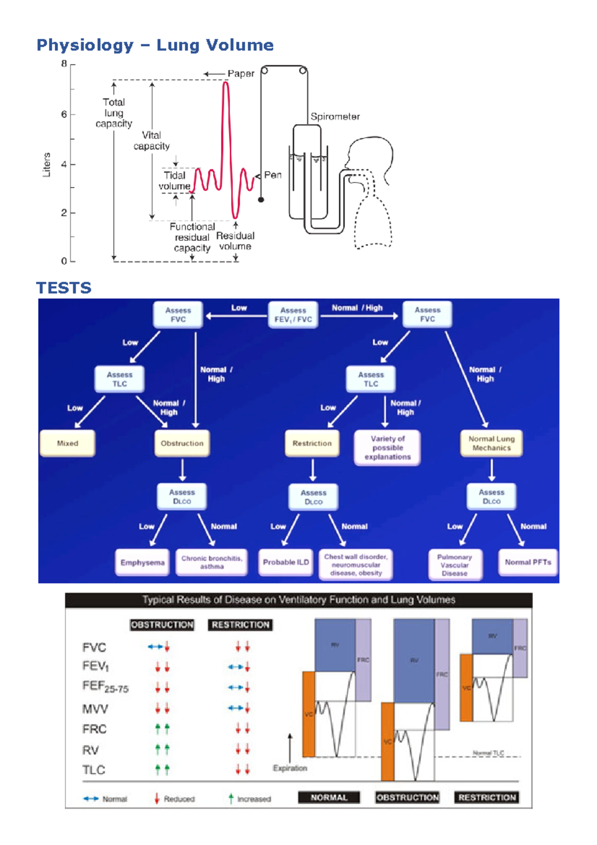 lung-function-test-physiology-lung-volume-tests-ventilation-test