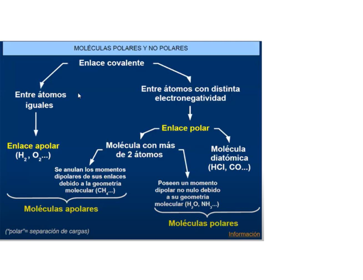 Moleculas Polares Y NO Polares - MOLÉCULAS POLARES Y NO POLARES Enlace