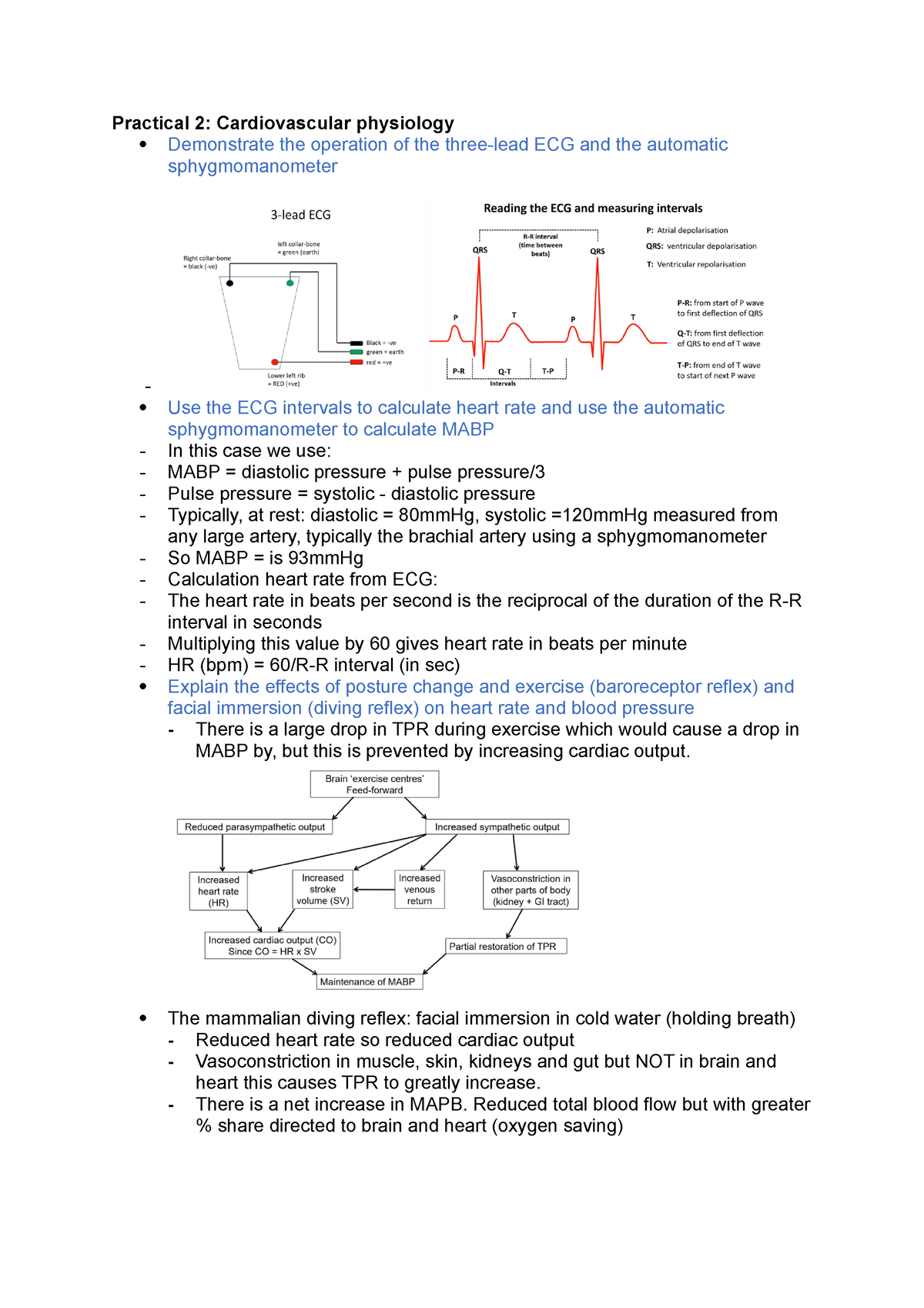 Practicals - Lecture Summary Notes - Practical 2: Cardiovascular ...