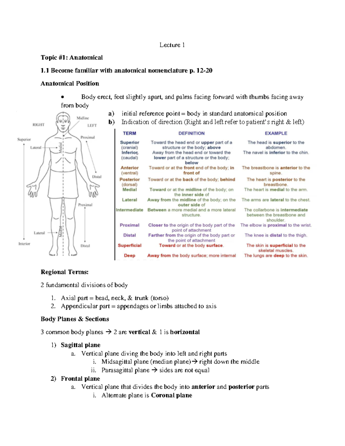 Midterm 1 Notes - Lecture 1 Topic #1: Anatomical 1 Become familiar with ...