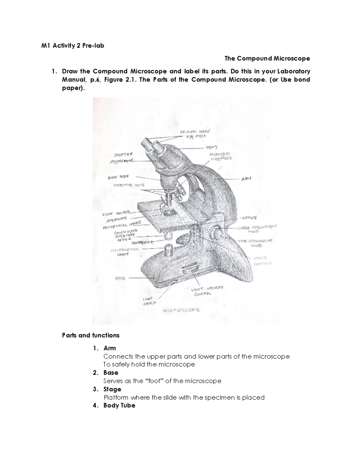 M1 A2 Pre-lab - Lecture Notes 1 - M1 Activity 2 Pre-lab The Compound ...