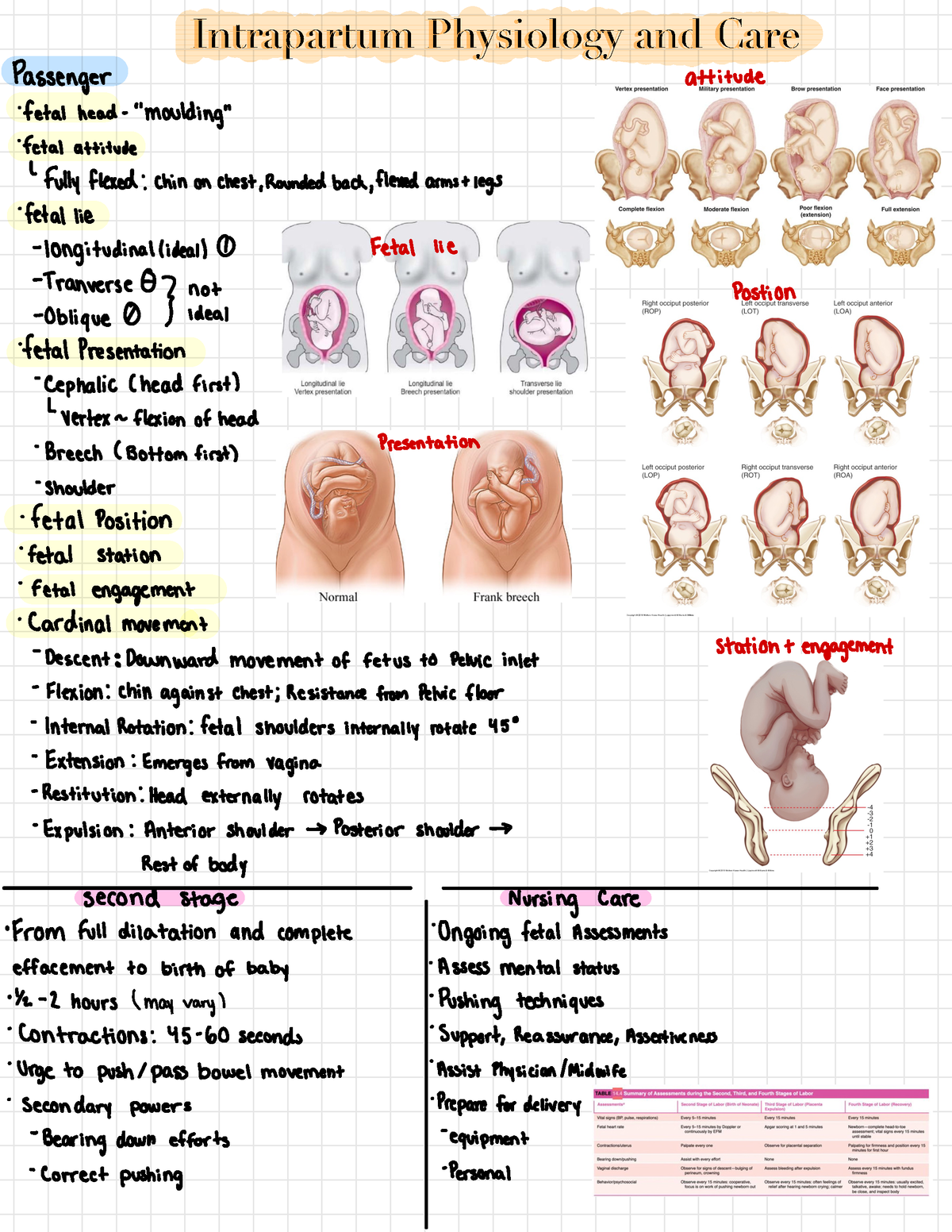 Labor And Delivery 3 - Intrapartum Physiology And Care Intrapartum ...