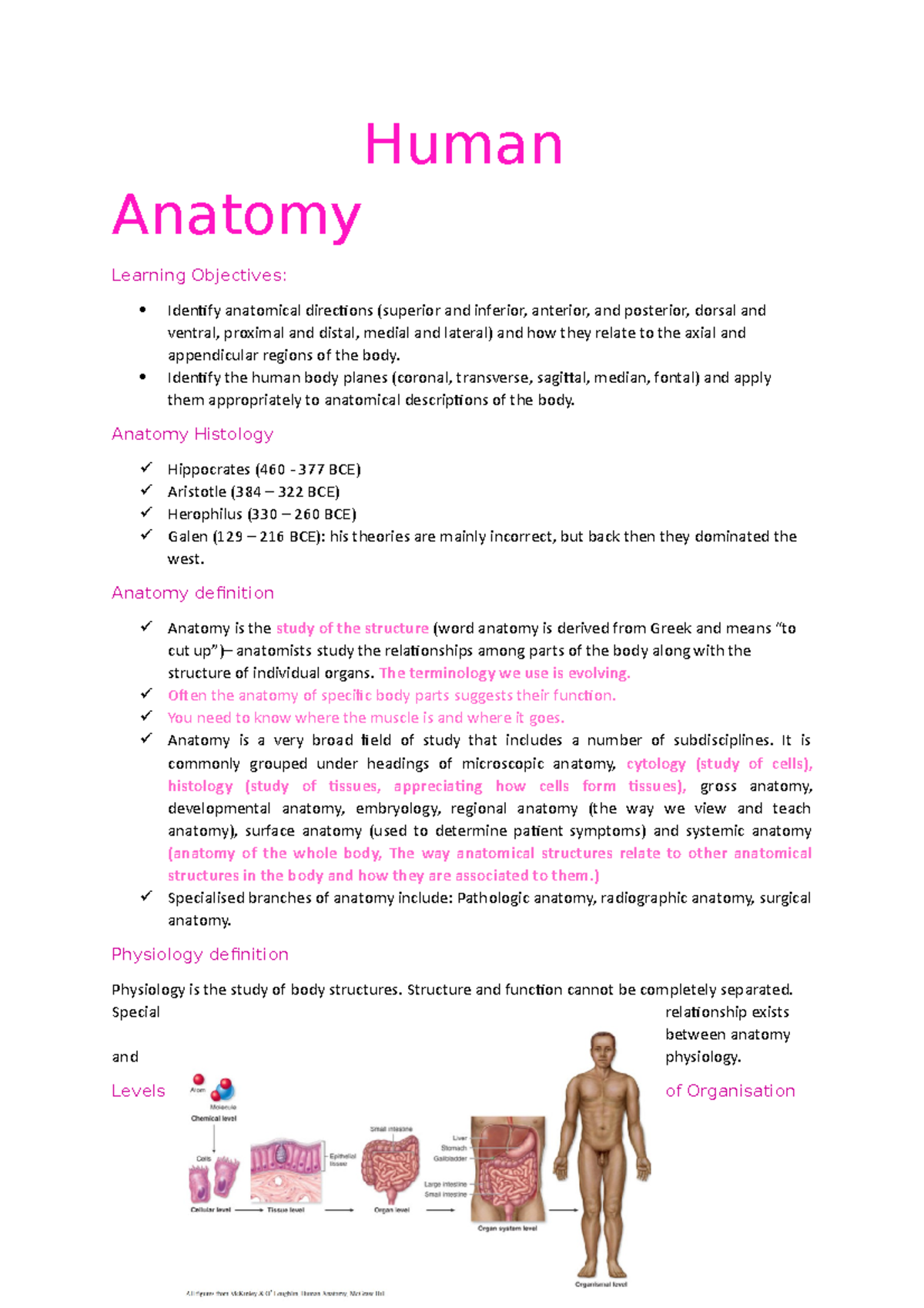 Human Anatomy - medicine Notes - Human Anatomy Learning Objectives ...