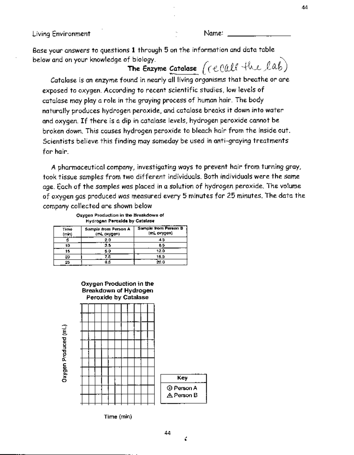 Enzyme graphing BSC 2010 Studocu