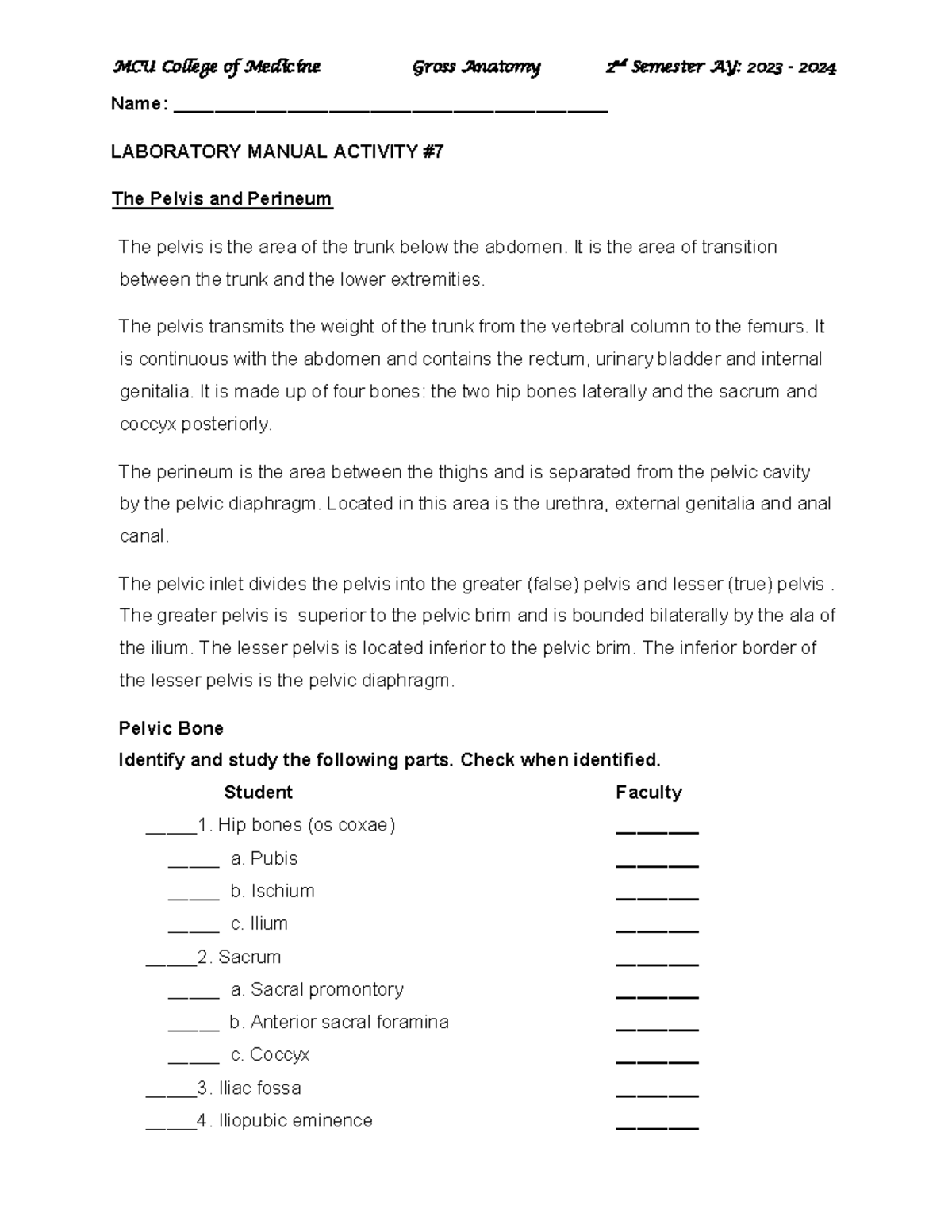 Laboratory Manual Activity 7 The Pelvis and Perineum 2 Name Studocu