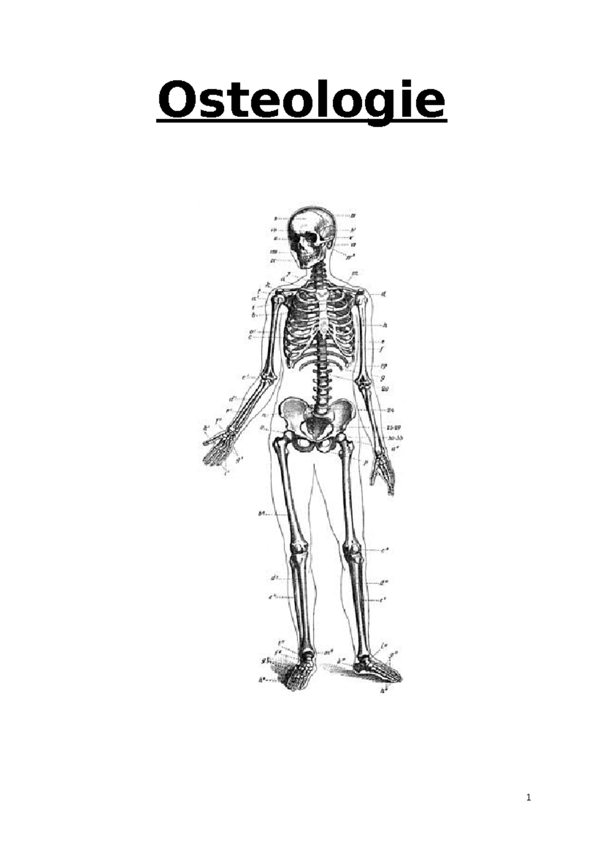 Osteologie: delen van het bovenste membrum - Osteologie Inhoud 1. Het ...