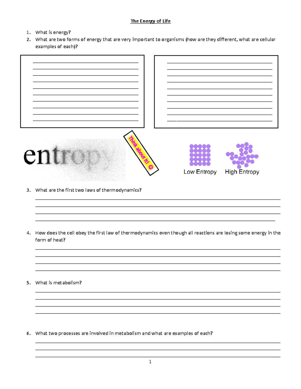 chapter-4-notes-guide-the-energy-of-life-what-is-energy-what-are-two