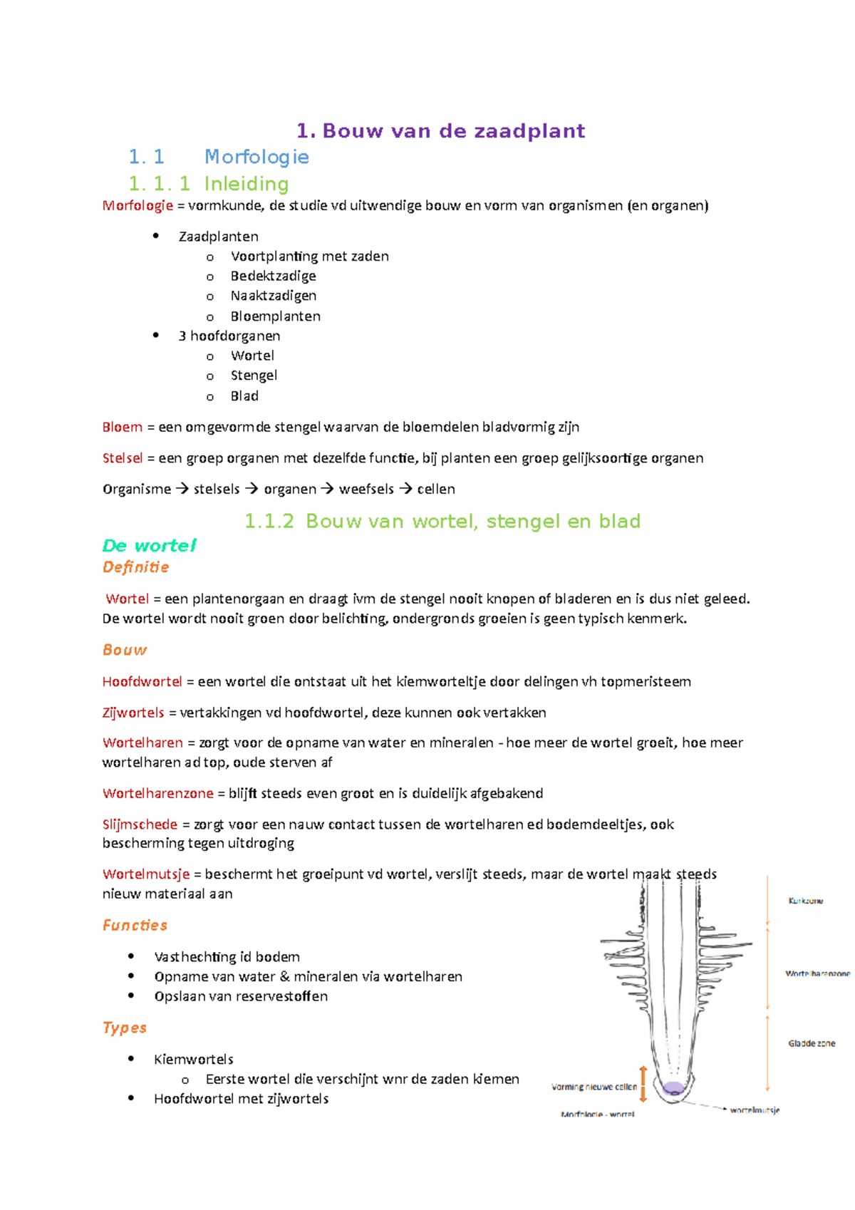 Bouw Van De Zaadplant - 1. Bouw Van De Zaadplant 1. 1 Morfologie 1. 1 ...