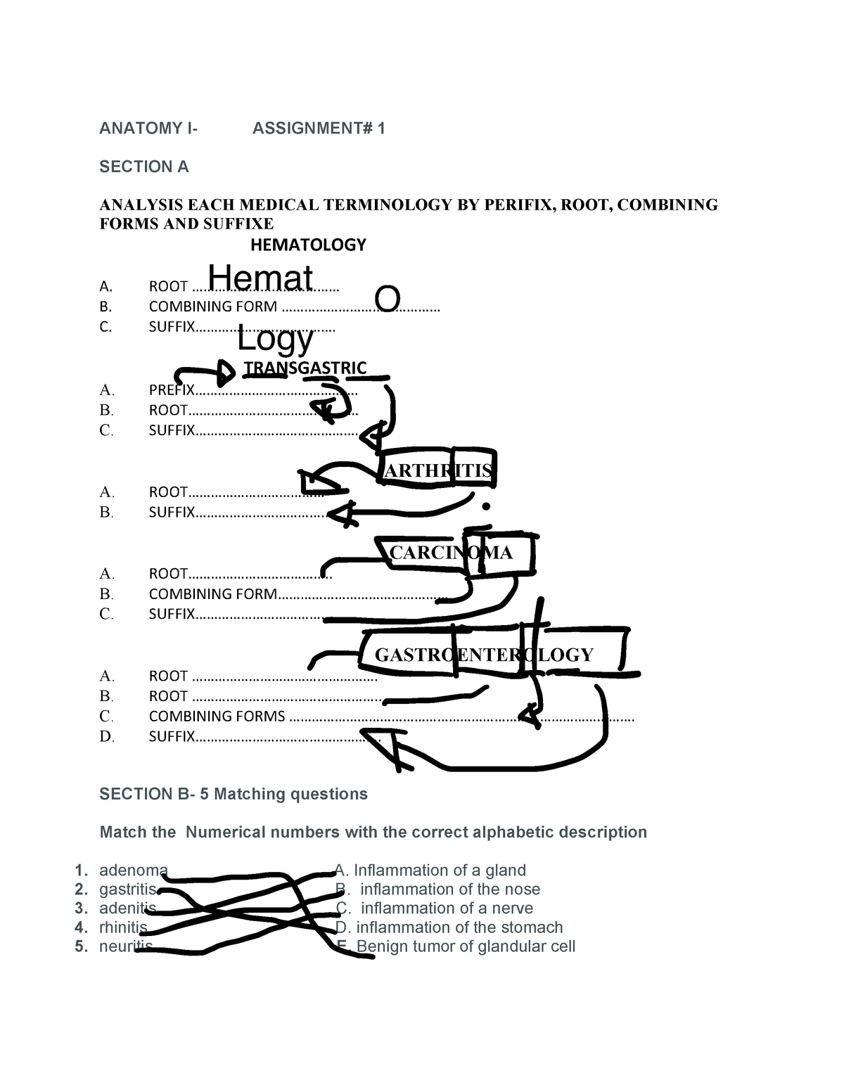 medical terminology assignment 1