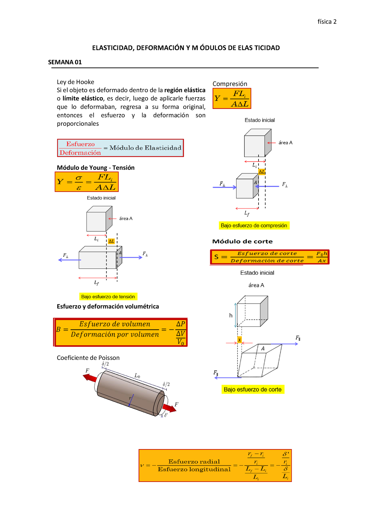 Ficha De Ejercicios 1 - ELASTICIDAD, DEFORMACI”N Y M ”DULOS DE ELAS ...