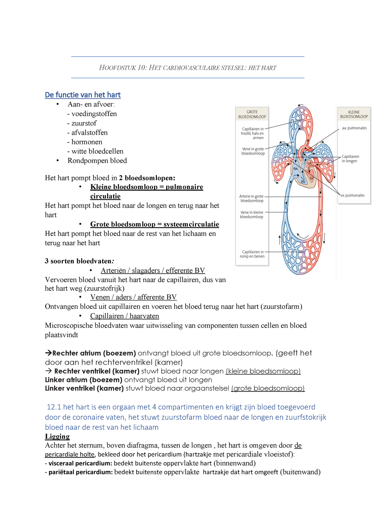 Hoofdstuk 10 Samenvatting Boek - HOOFDSTUK 10: HET CARDIOVASCULAIRE ...