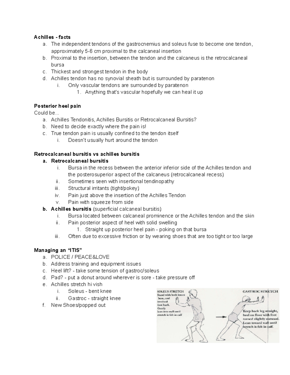 Lecture 14 Achilles Tendon Issues and Knee Anatomy Achilles facts