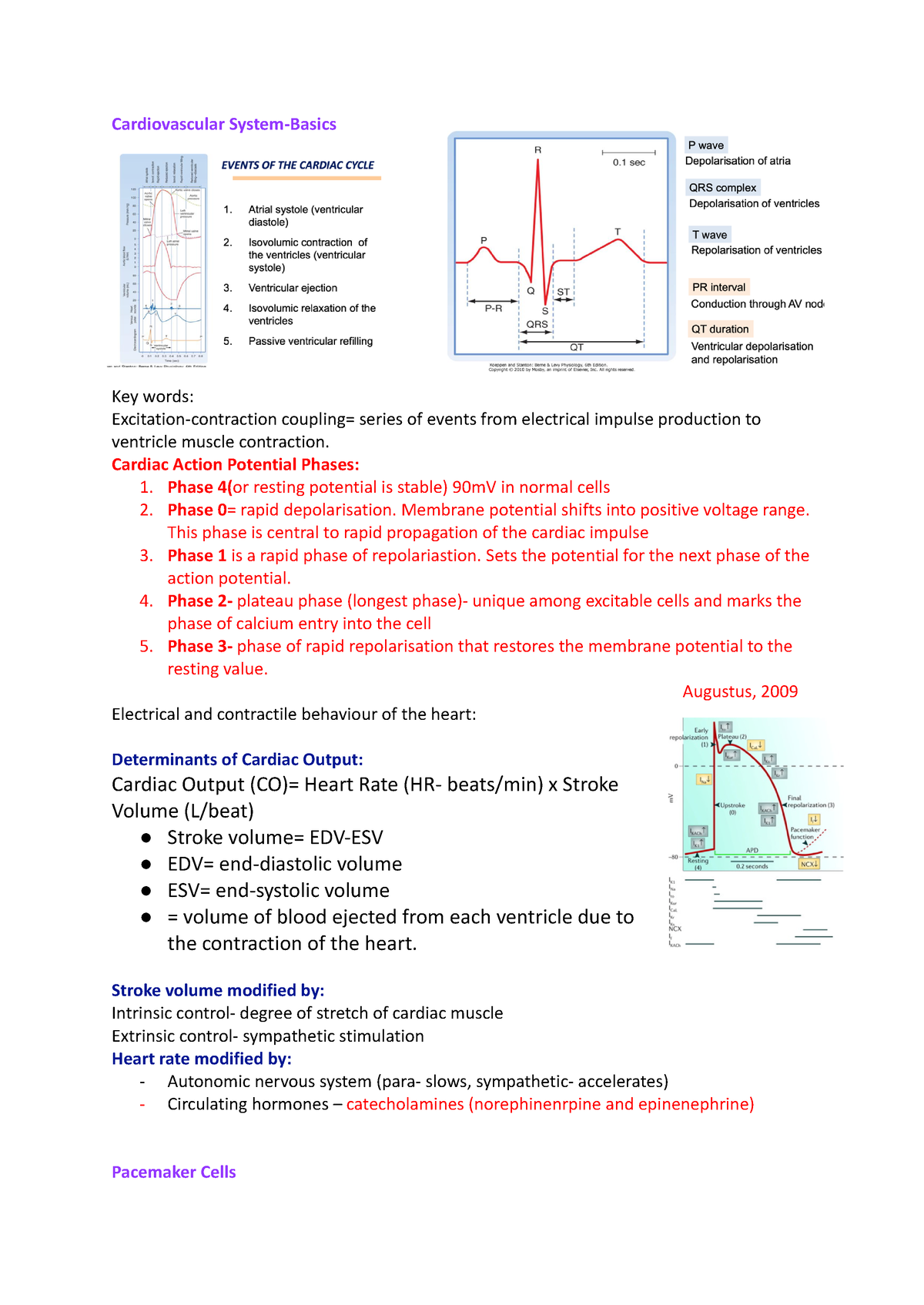 Cardiovascular System - Cardiovascular System-Basics Key words ...