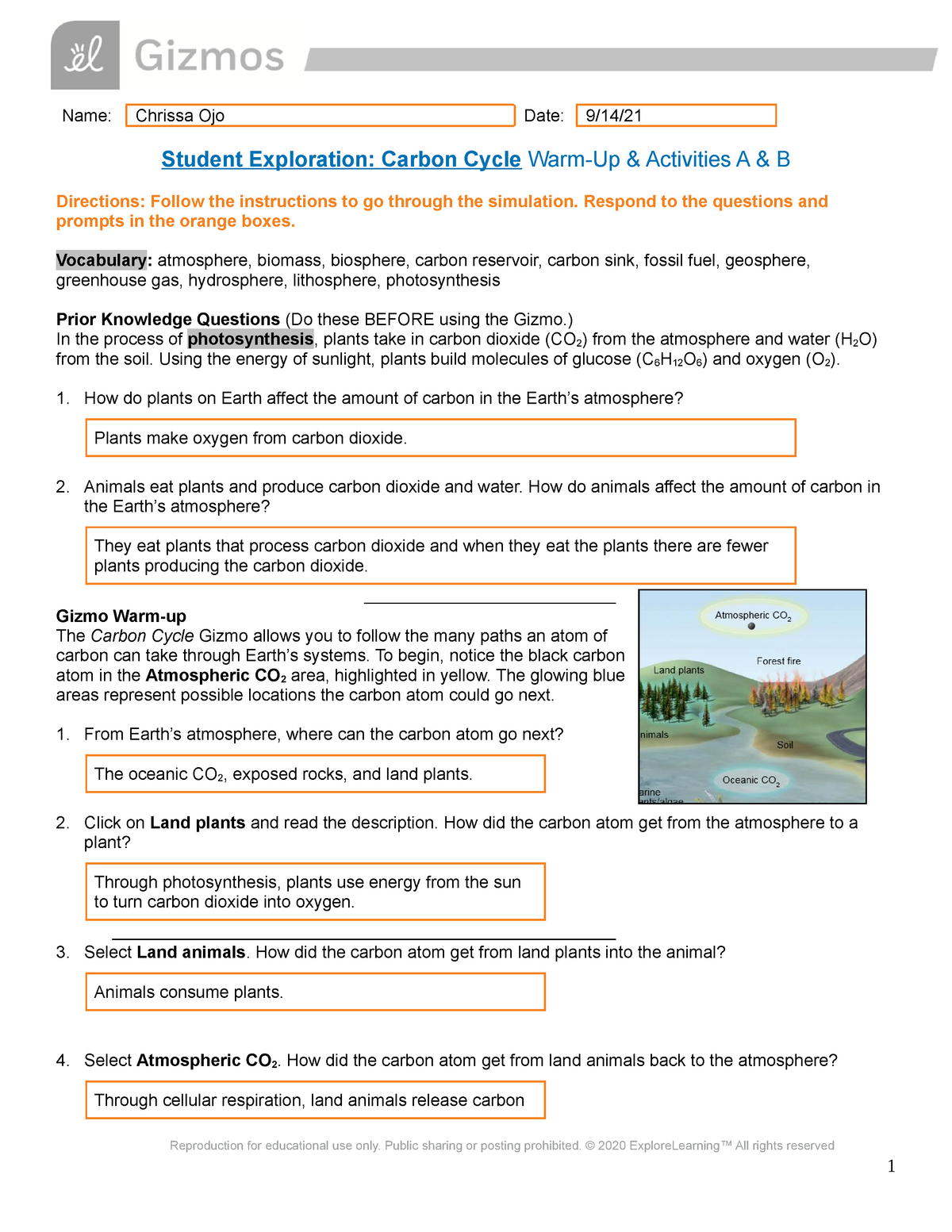 Carbon Cycle Gizmos SE Sheet Warm Up & Activities A & B-4 - Name: Chrissa  Ojo Date: 9/14/ Student - Studocu