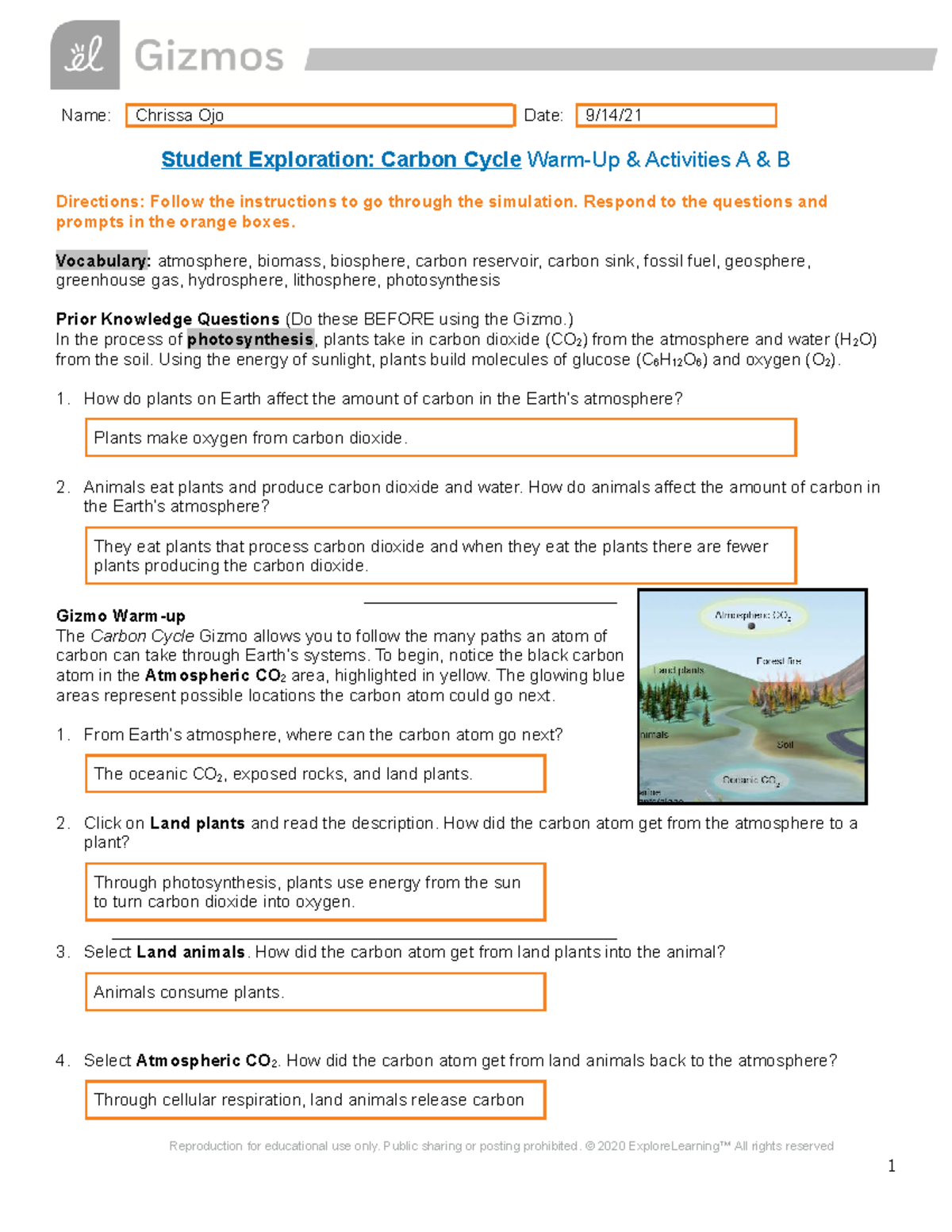 Carbon Cycle Gizmos SE Sheet Warm Up Activities A B 4 Name Chrissa Ojo Date 9 14 