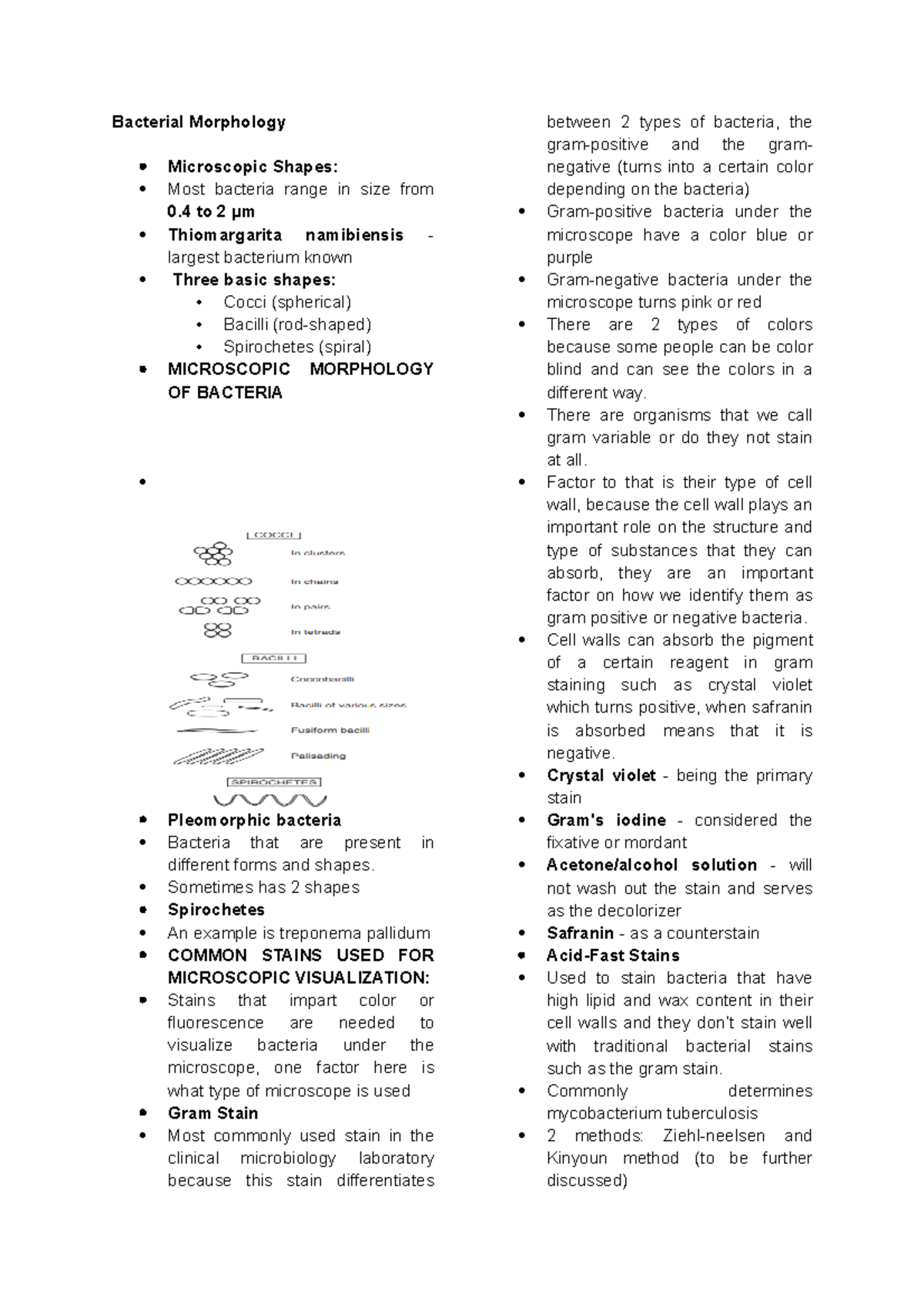 Microbiology Stains Lecture Notes Bacterial Morphology Microscopic Shapes Most Bacteria Microbiology Stains Lecture Notes Bacterial Morphology Microscopic Shapes Most Bacteria