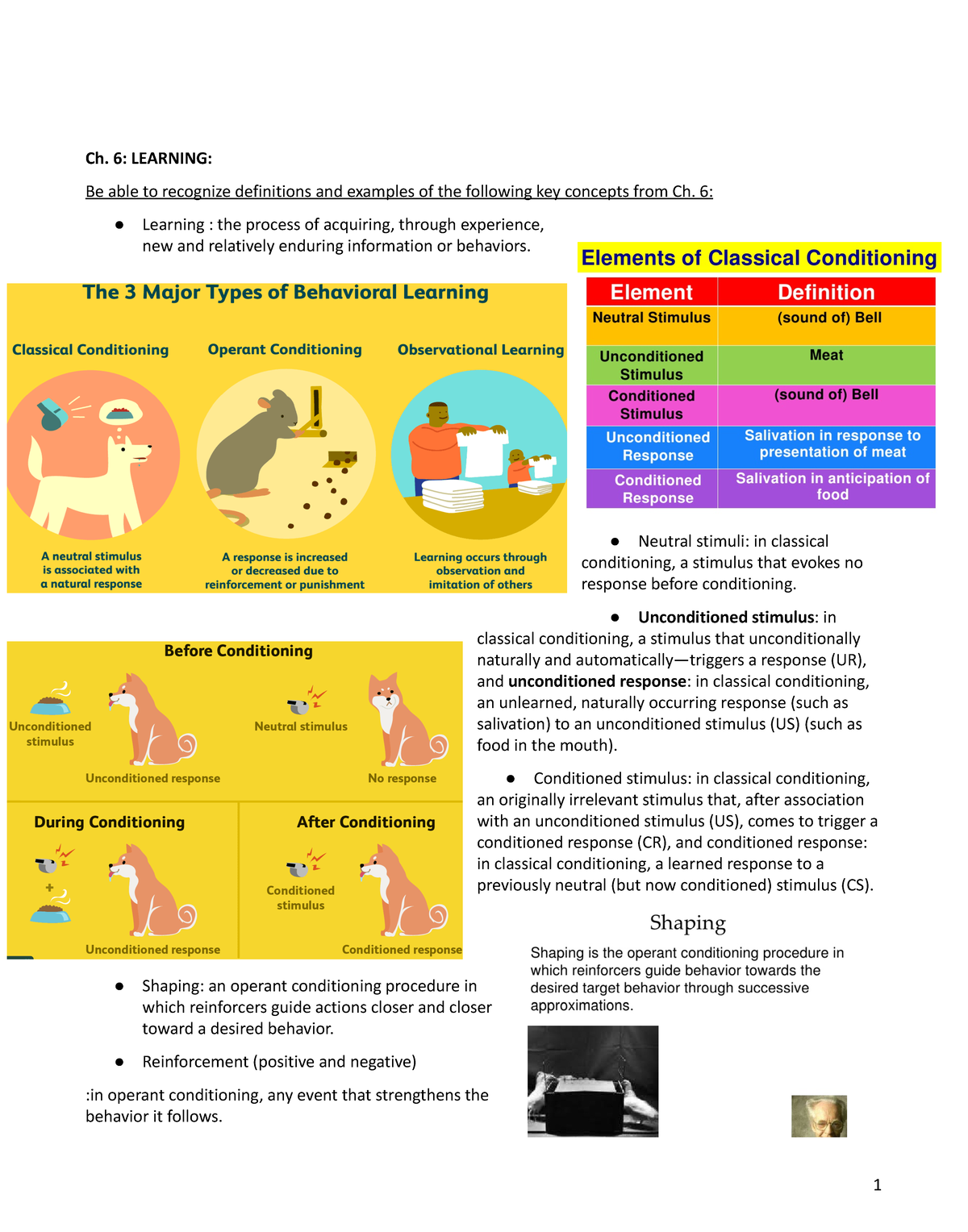 Psyc 102 Note study for exam 2 - Google Docs - Ch. 6: LEARNING: Be able ...