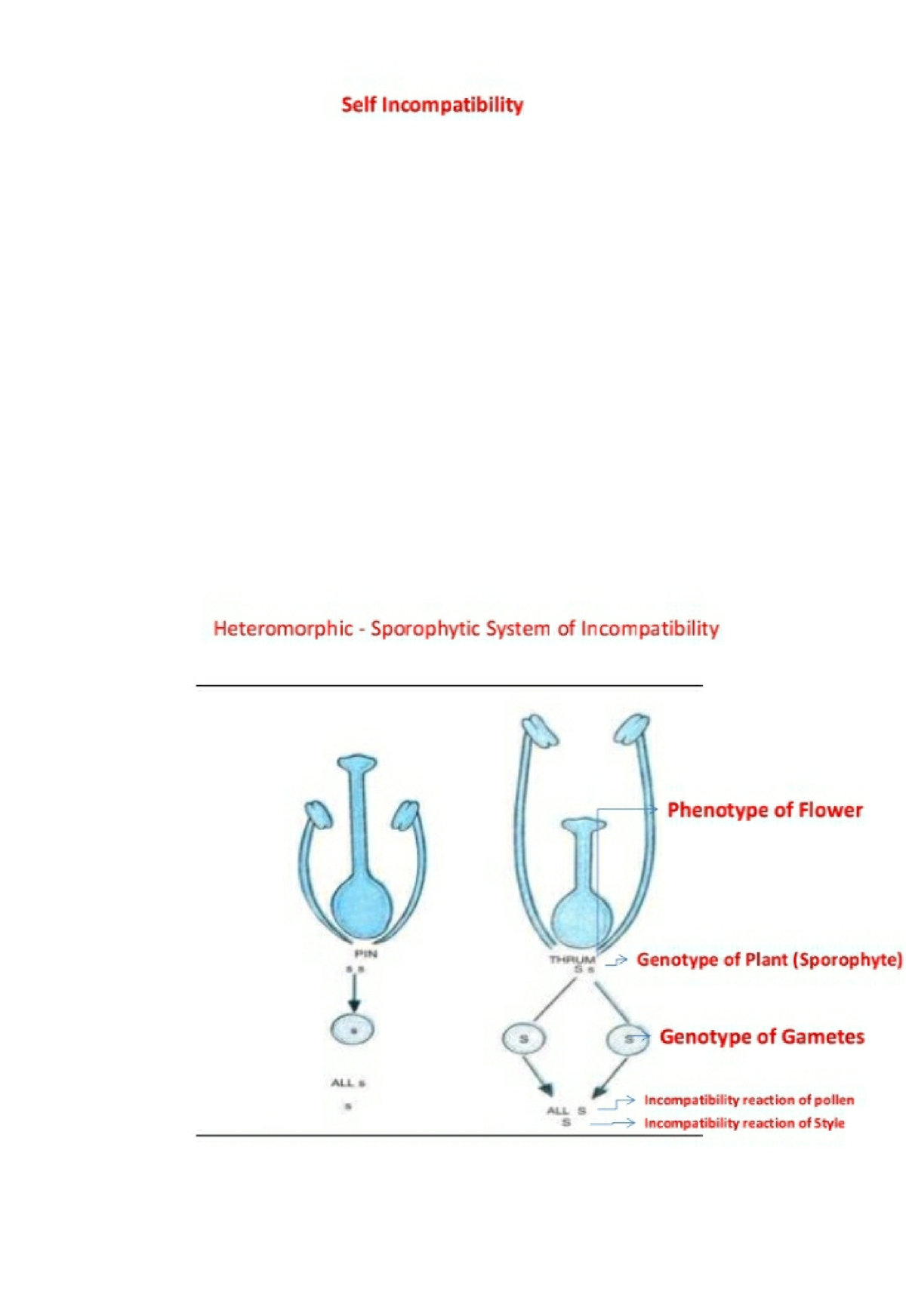 Self Incompactability - S Genotype of Gametes ALL 5 Incompatibility ...
