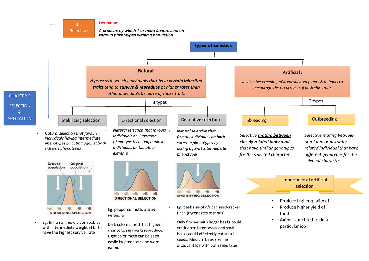 chap-3-selection-and-speciation-3-types-2-types-chapter-3-selection