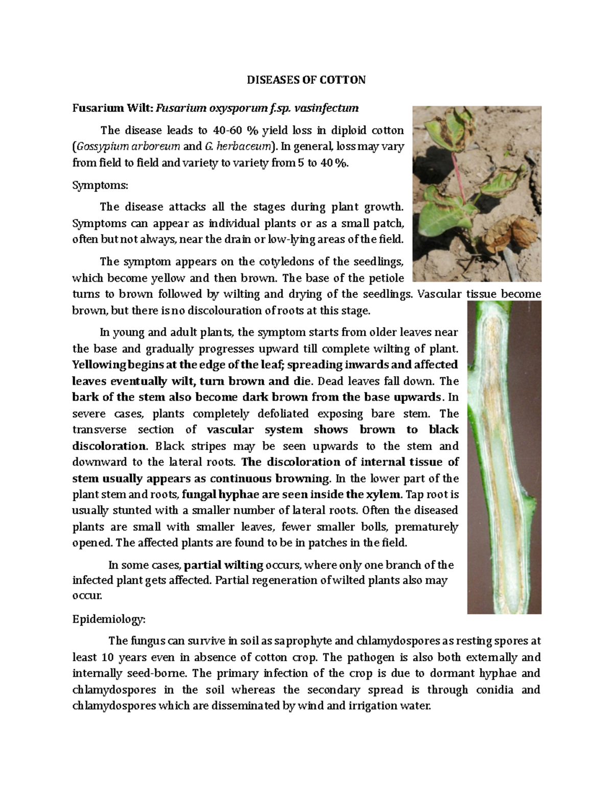Diseases of cotton - notes on pest of cotten - DISEASES OF COTTON ...