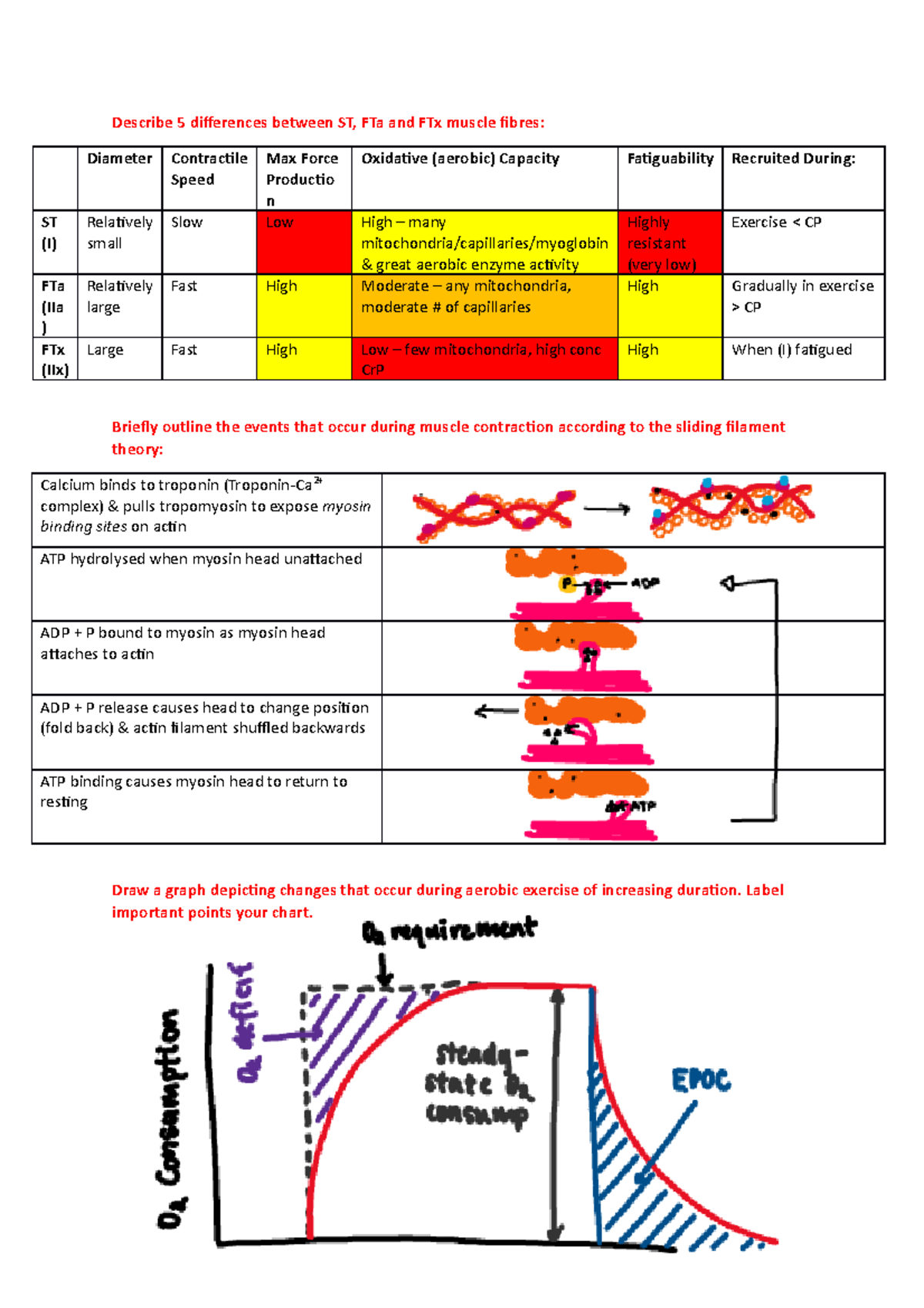 Final Exam Revision Questions HPE110 Notre Dame Studocu