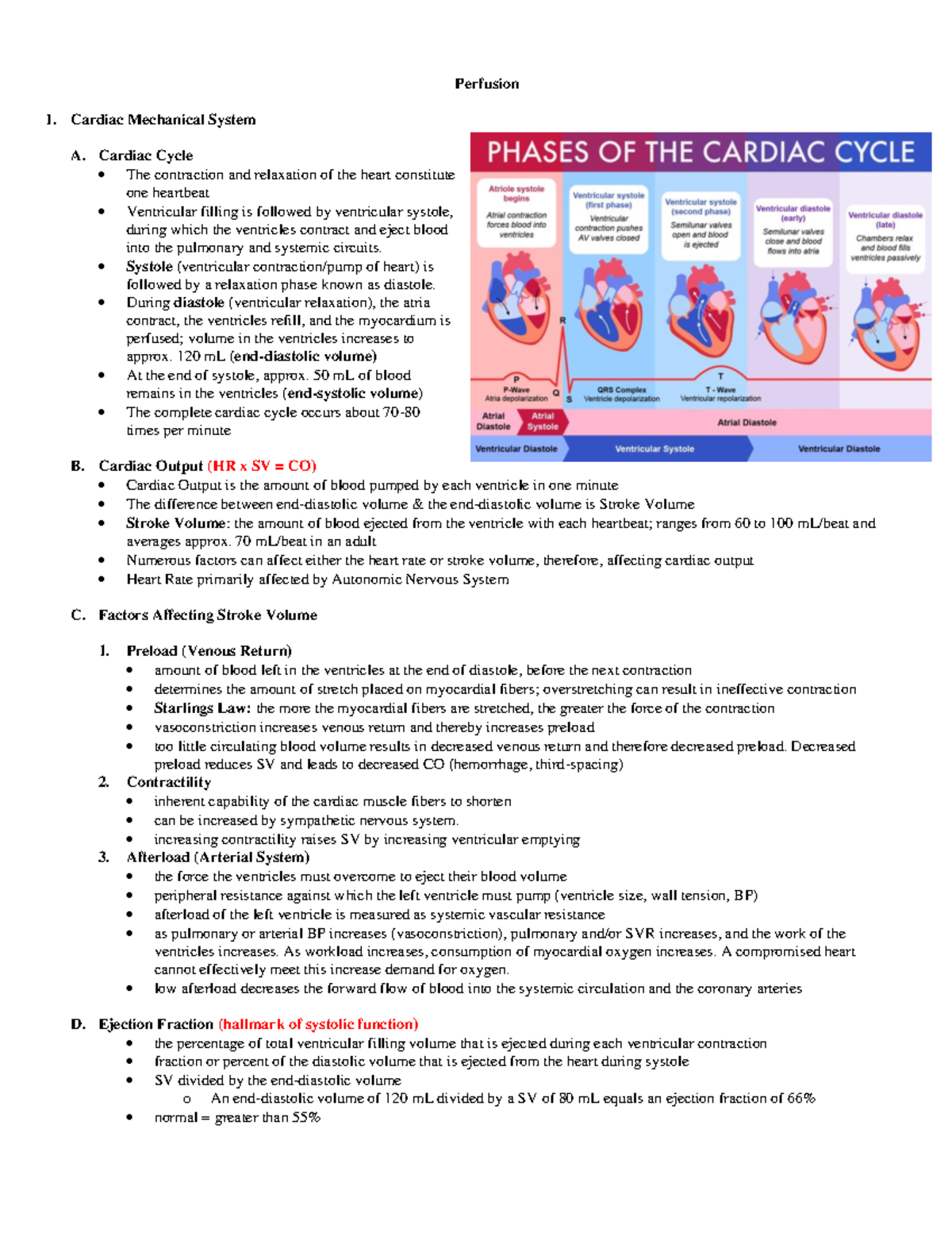 ECG and Dysrhythmias - perfusion - Perfusion I. Cardiac Mechanical ...