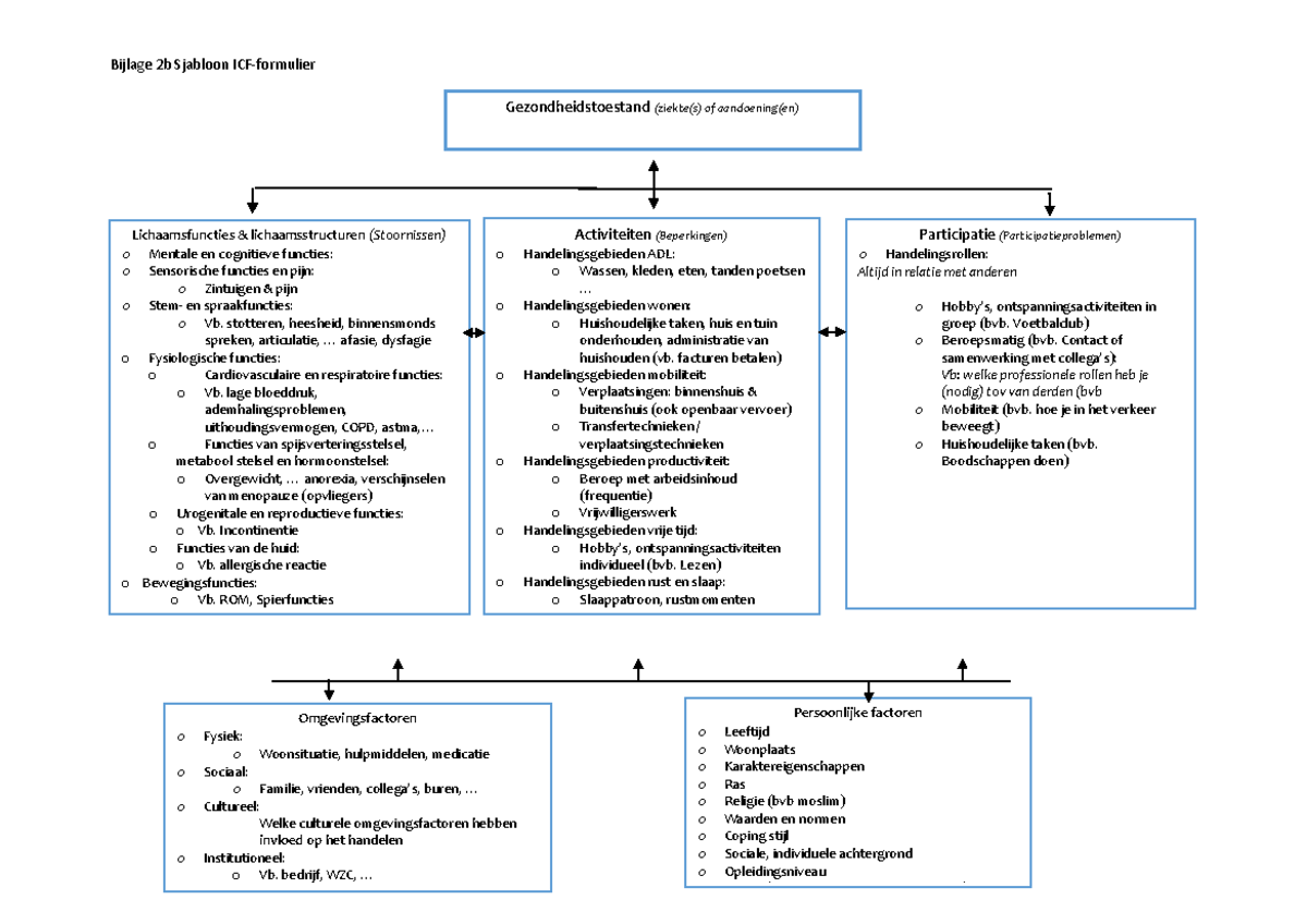 Sjabloon ICF Formulier Met Onderverdelingen En Voorbeelden 10