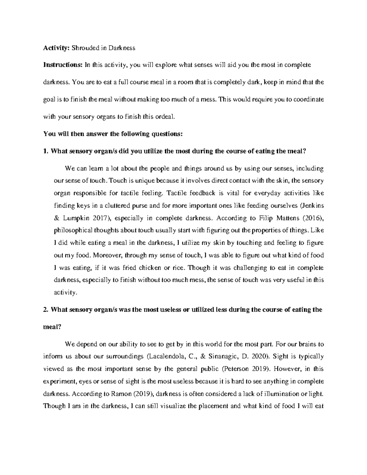 Sensory Activity Activity Shrouded in Darkness Instructions In this