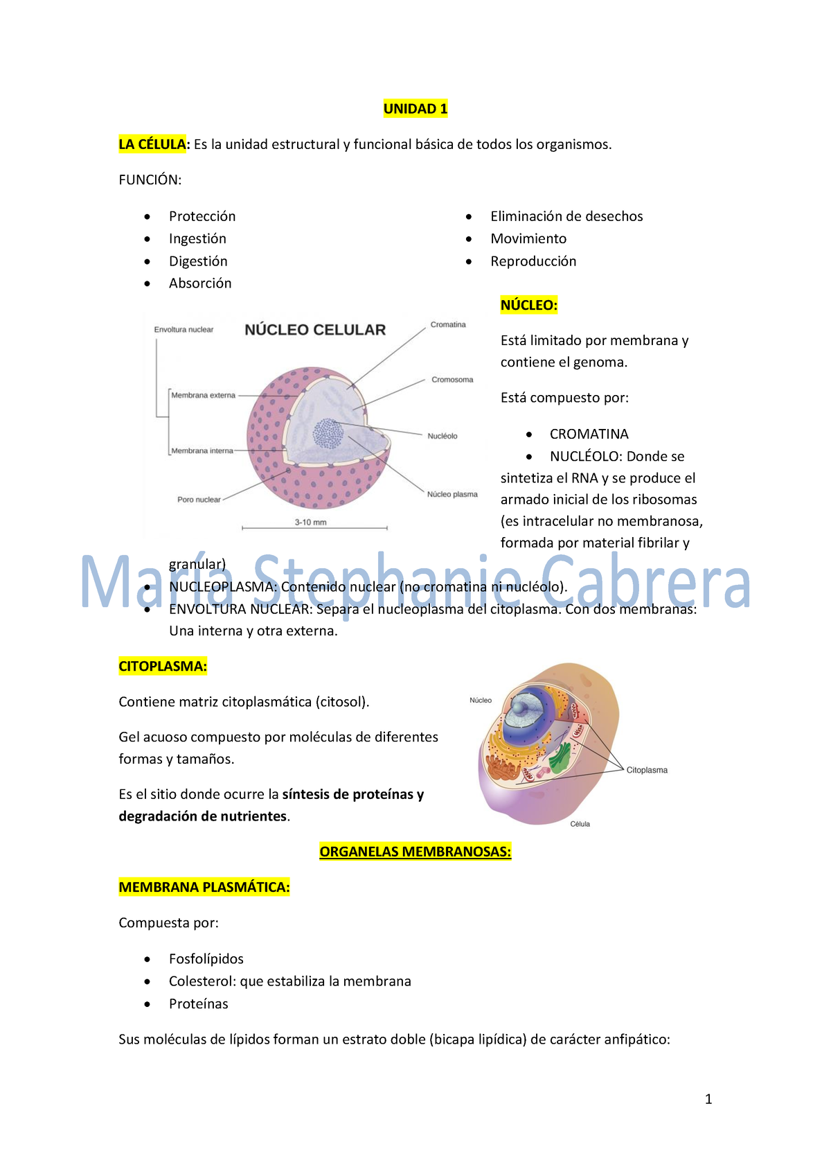 Histologia PARA 1ER Parcial Pdf - UNIDAD 1 LA C..: Es La Unidad ...