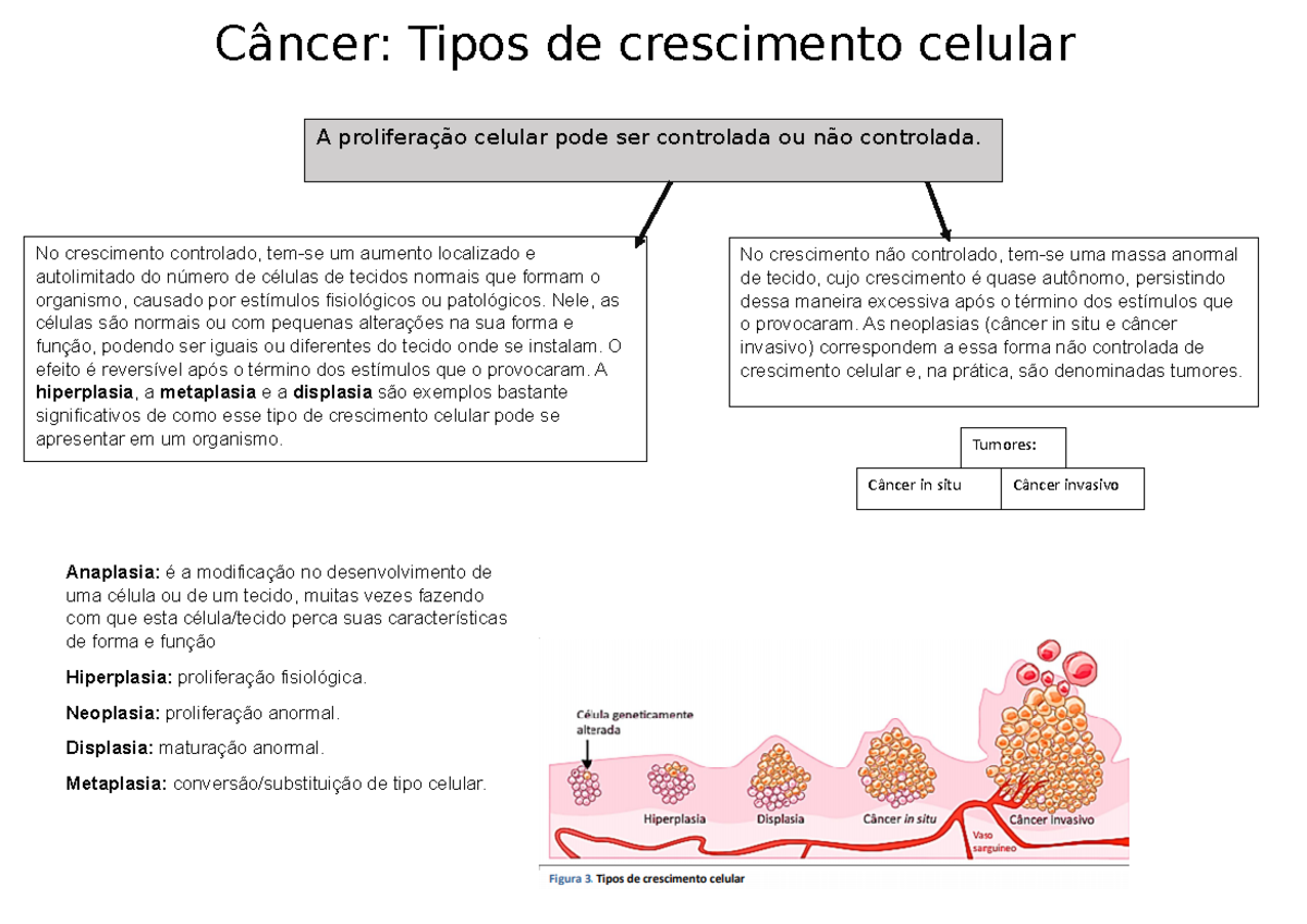 Câncer Oncologia - Resumo - A proliferação celular pode ser controlada ...