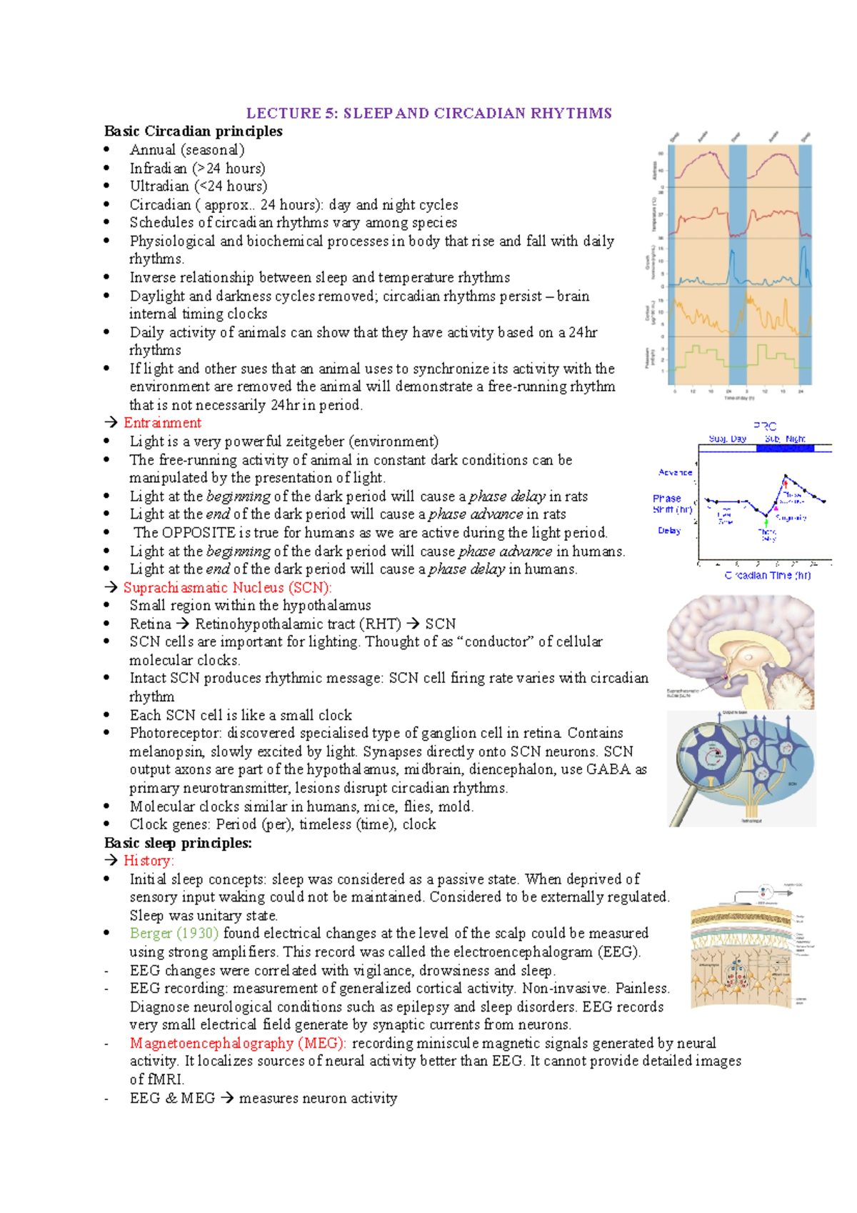 Lecture 5- Sleep And Circadian Rhythms - LECTURE 5: SLEEP AND CIRCADIAN ...