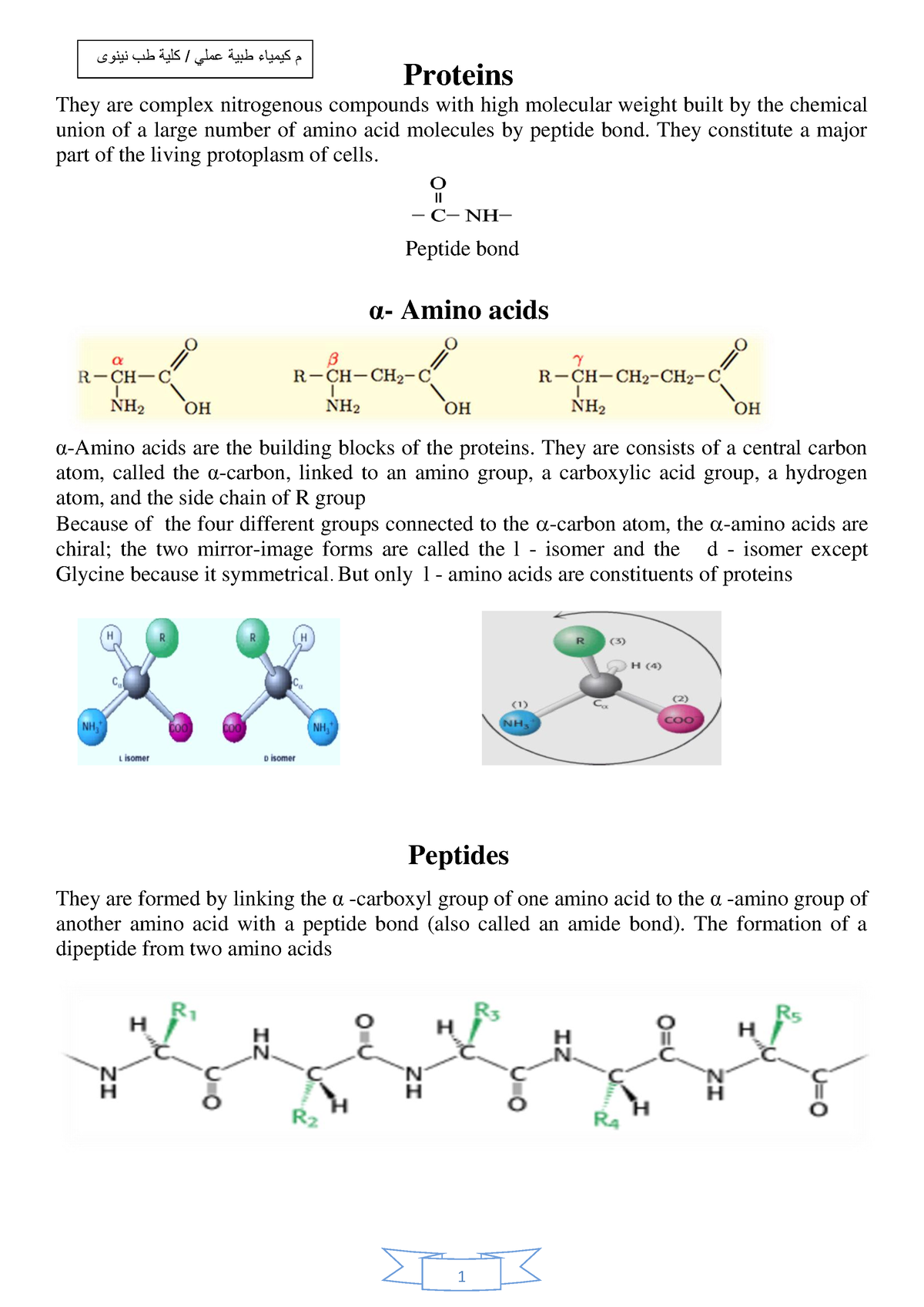 2019 1001 124706 163 - FIGHTING FUTURE RN - Proteins They are complex ...