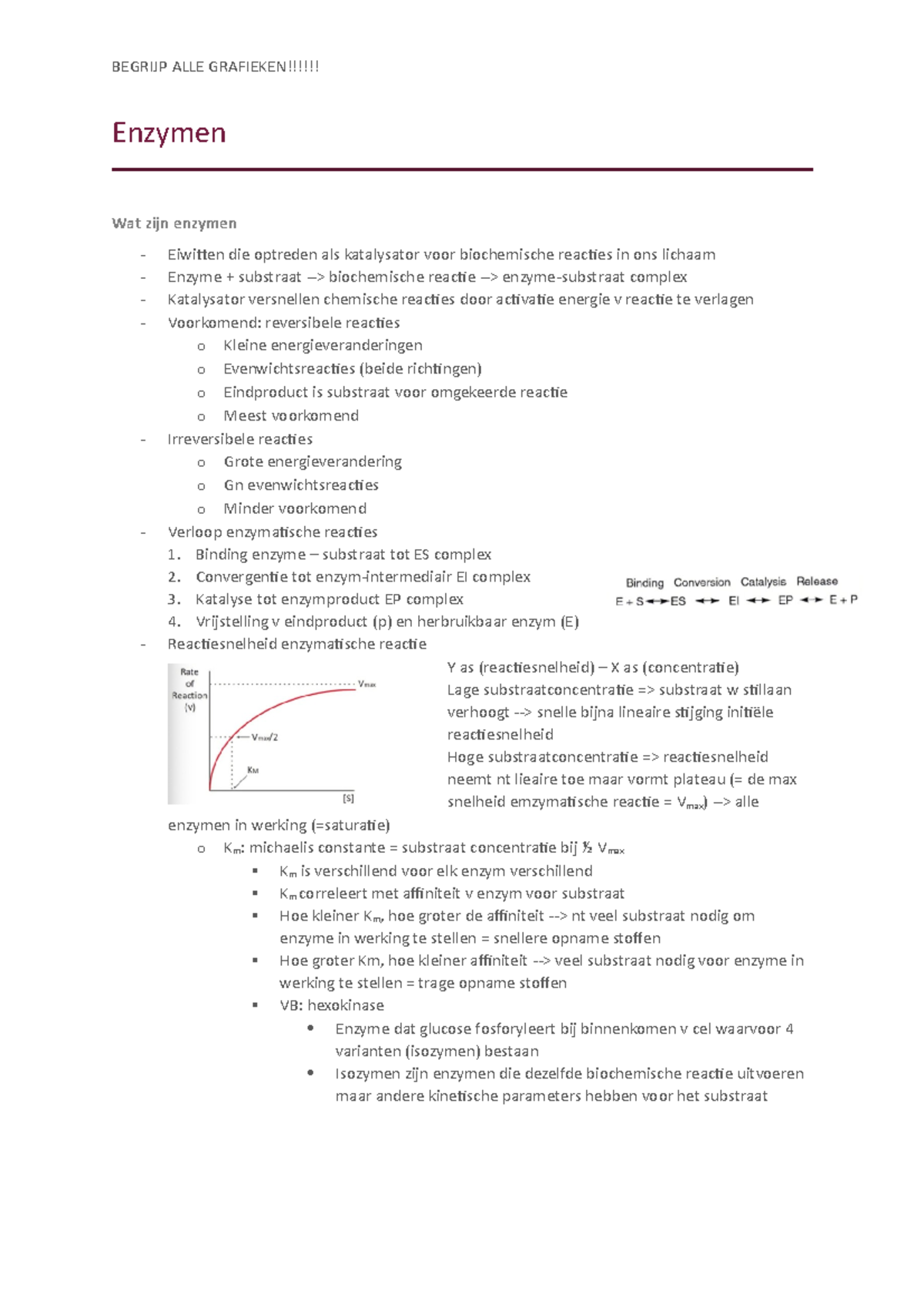 Hoofdstuk 2 - BEGRIJP ALLE GRAFIEKEN!!!!!! Enzymen Wat Zijn Enzymen ...