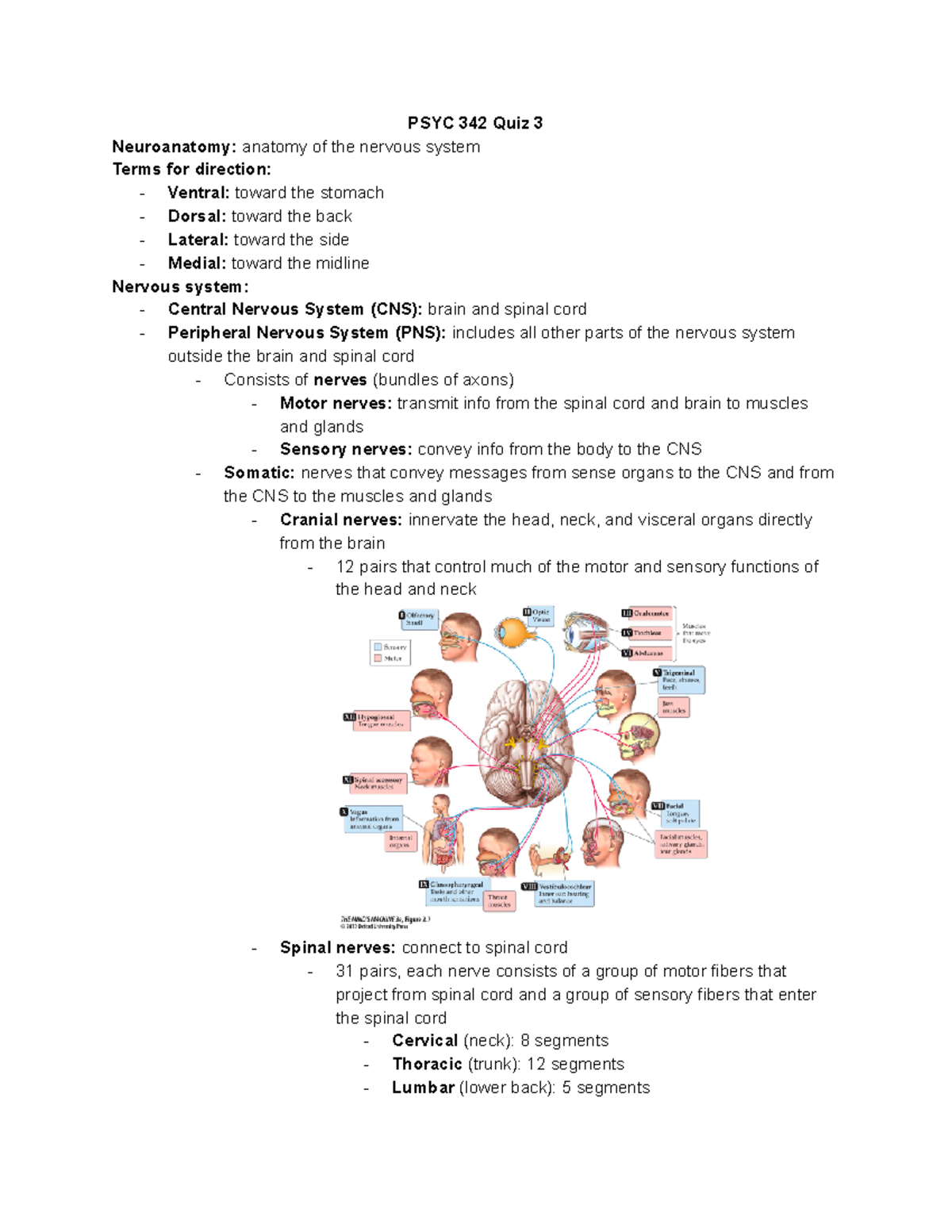 Learning Behavior Notes for Quiz #2 - PSYC 342 Quiz 3 Neuroanatomy ...