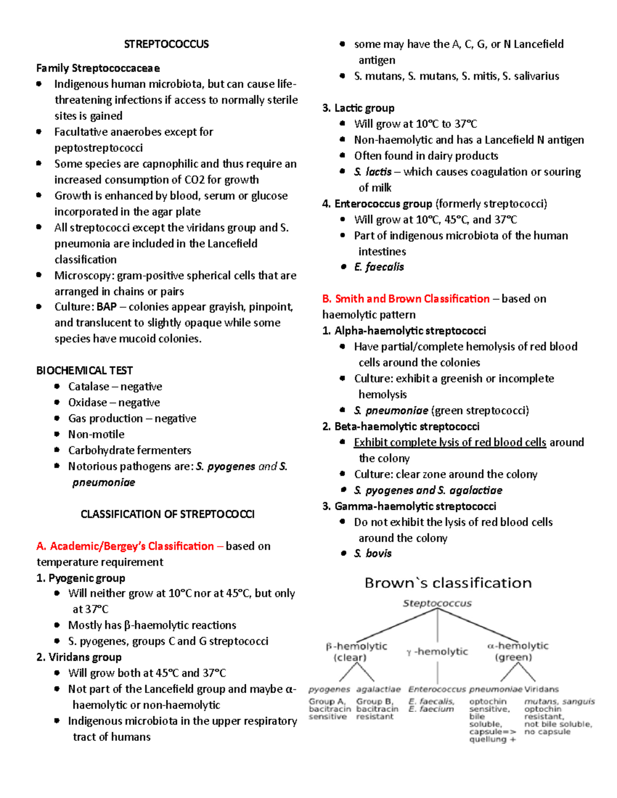 Streptococcus and Enterococcus - STREPTOCOCCUS Family Streptococcaceae ...