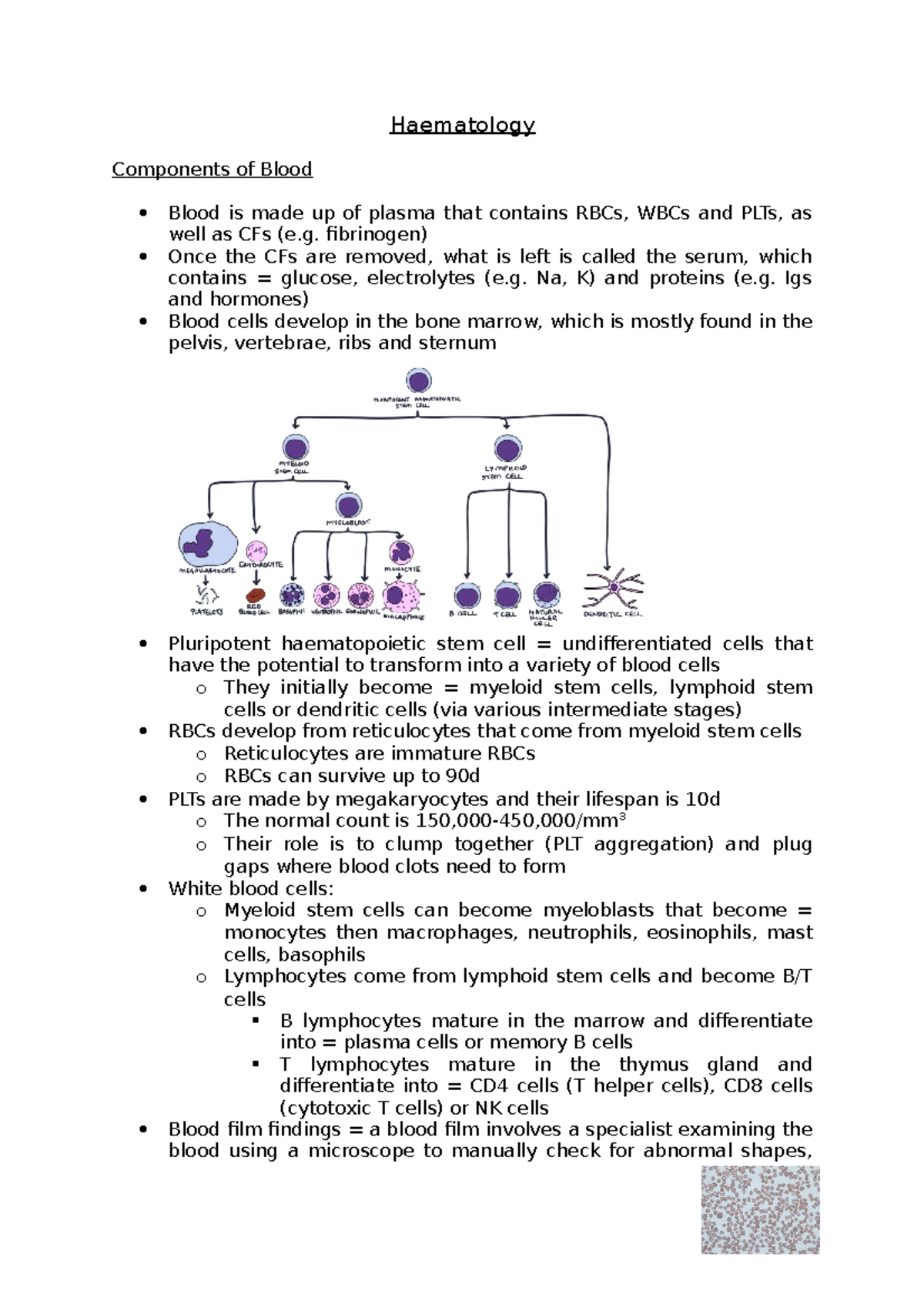 Haematology Revision Notes For Finals - Haematology Components Of Blood ...