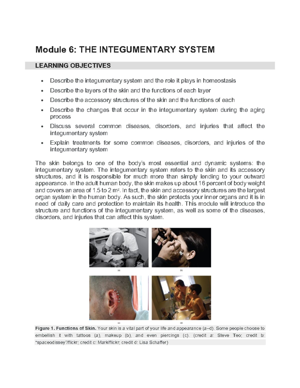 Module 6 - Integumentary System - Module 6: THE INTEGUMENTARY SYSTEM ...