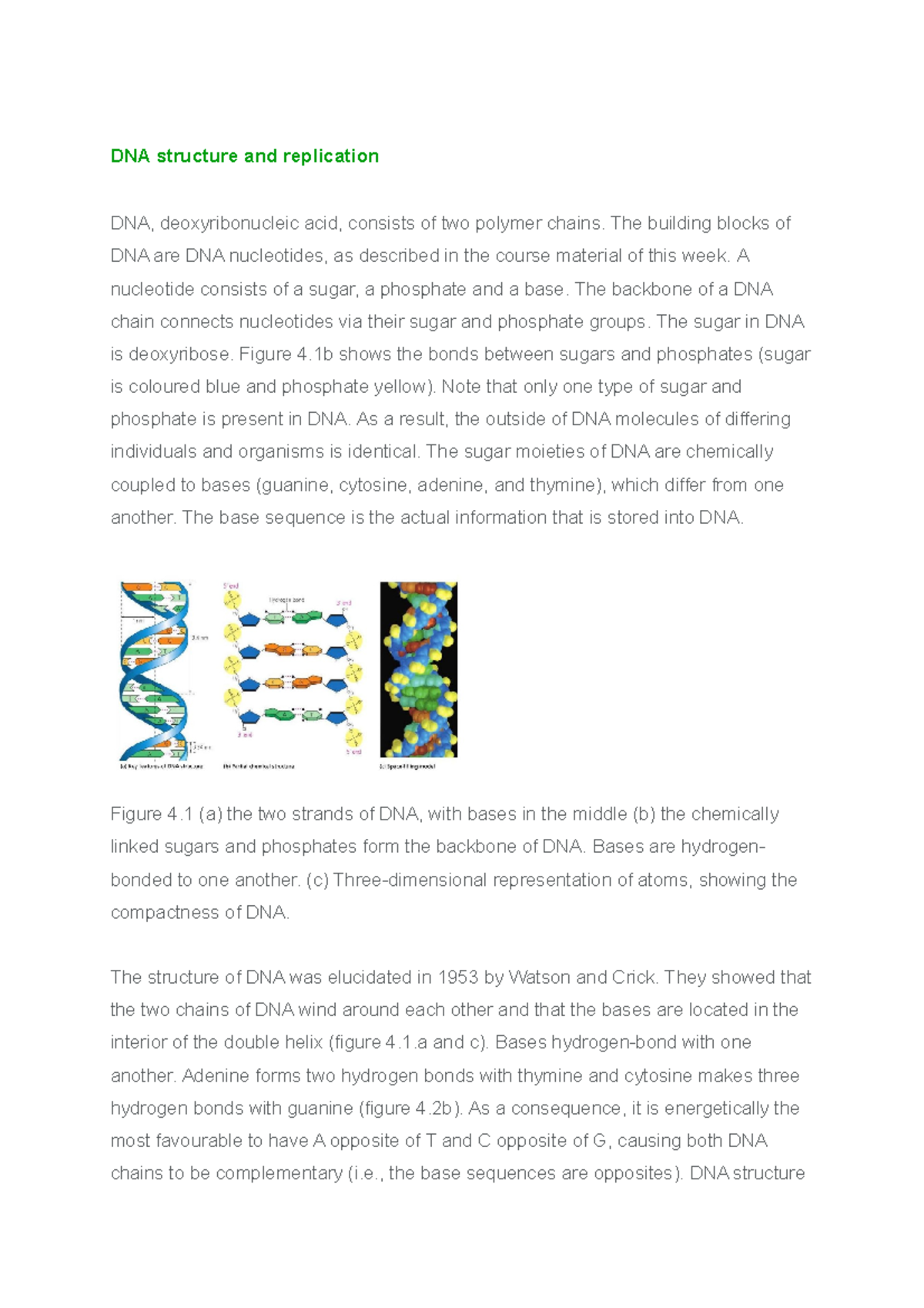 DNA structure and replication The building blocks of DNA are DNA nucleotides, as described in