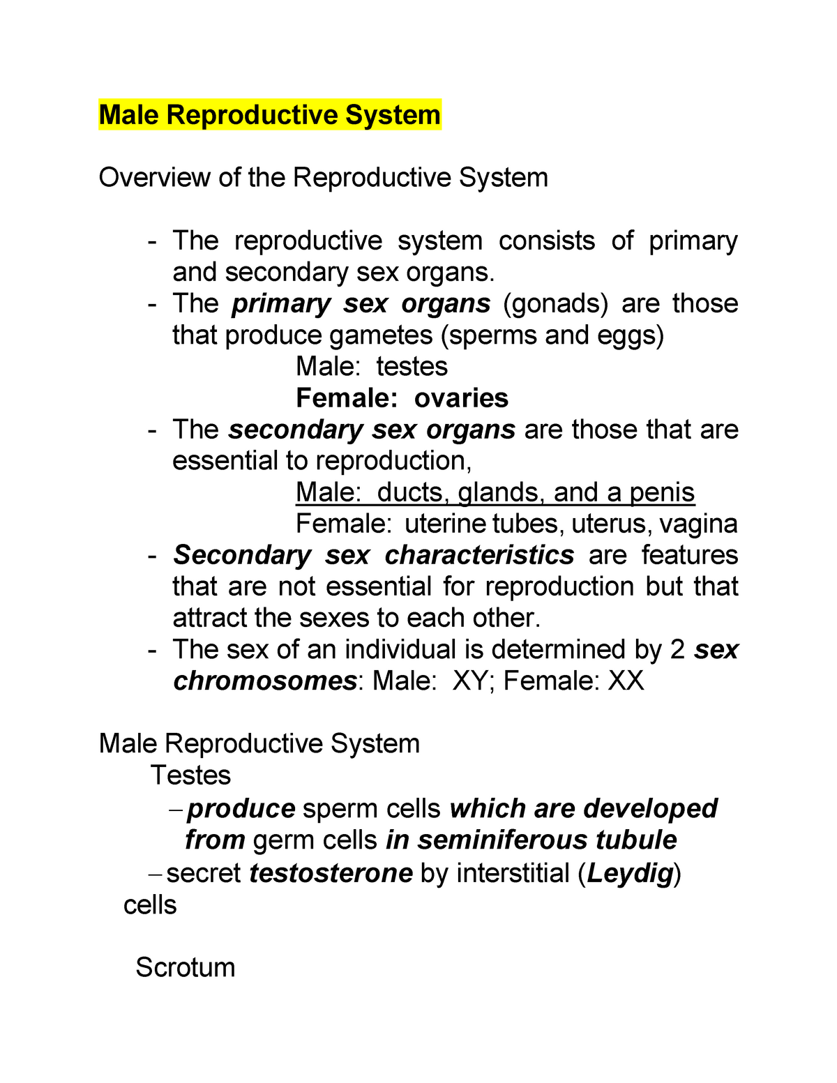 male-reproductive-system-notes-male-reproductive-system-overview-of