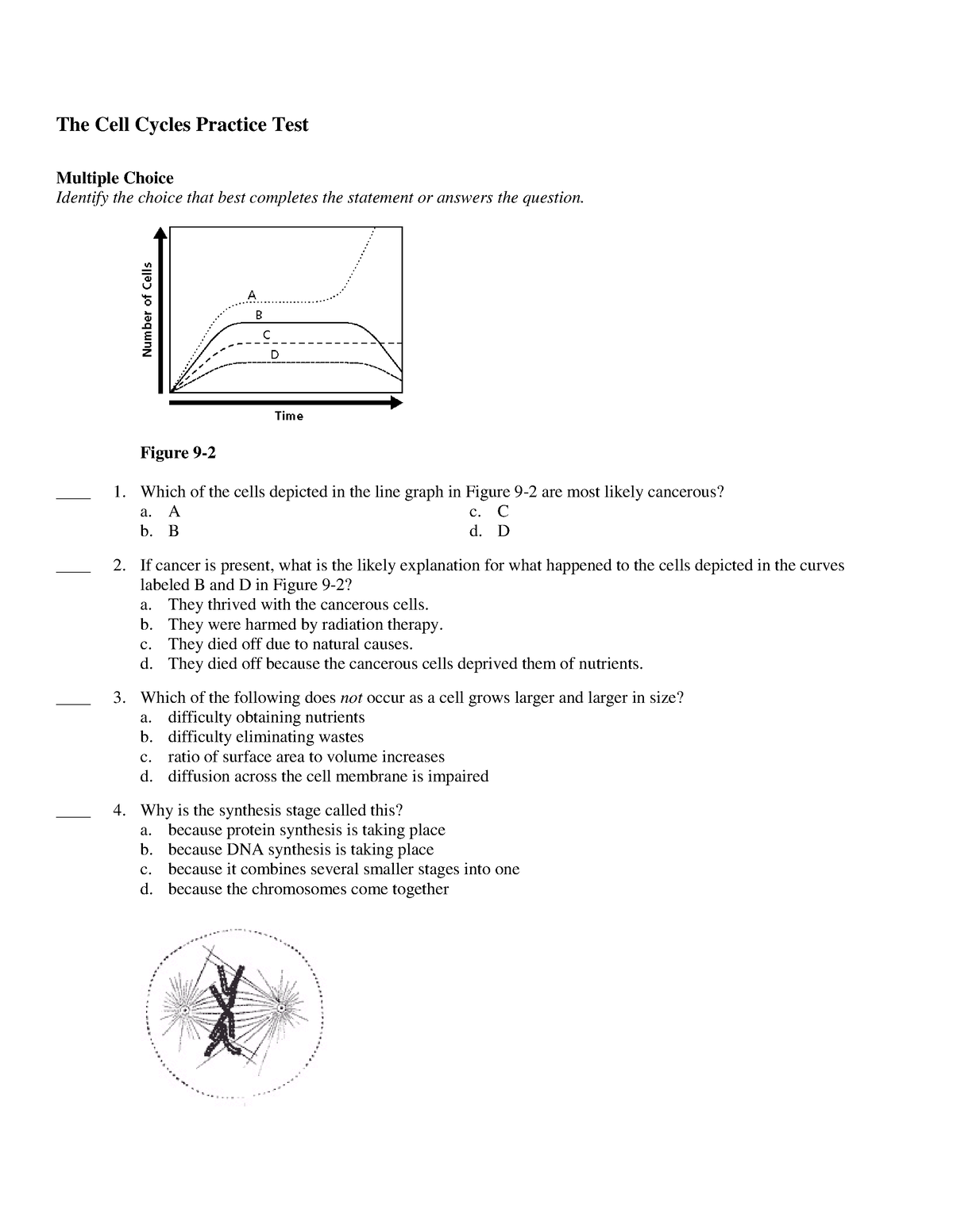 cellular-division-quiz-practice-questions-the-cell-cycles-practice