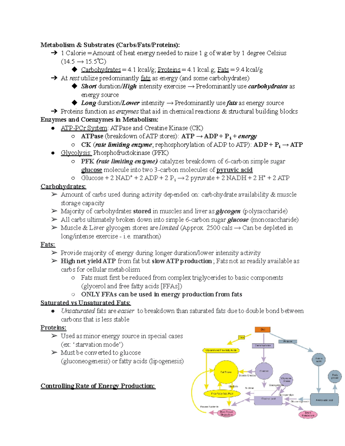 EX-250 Exam 1 Review - Metabolism & Substrates (Carbs/Fats/Proteins): 1 ...